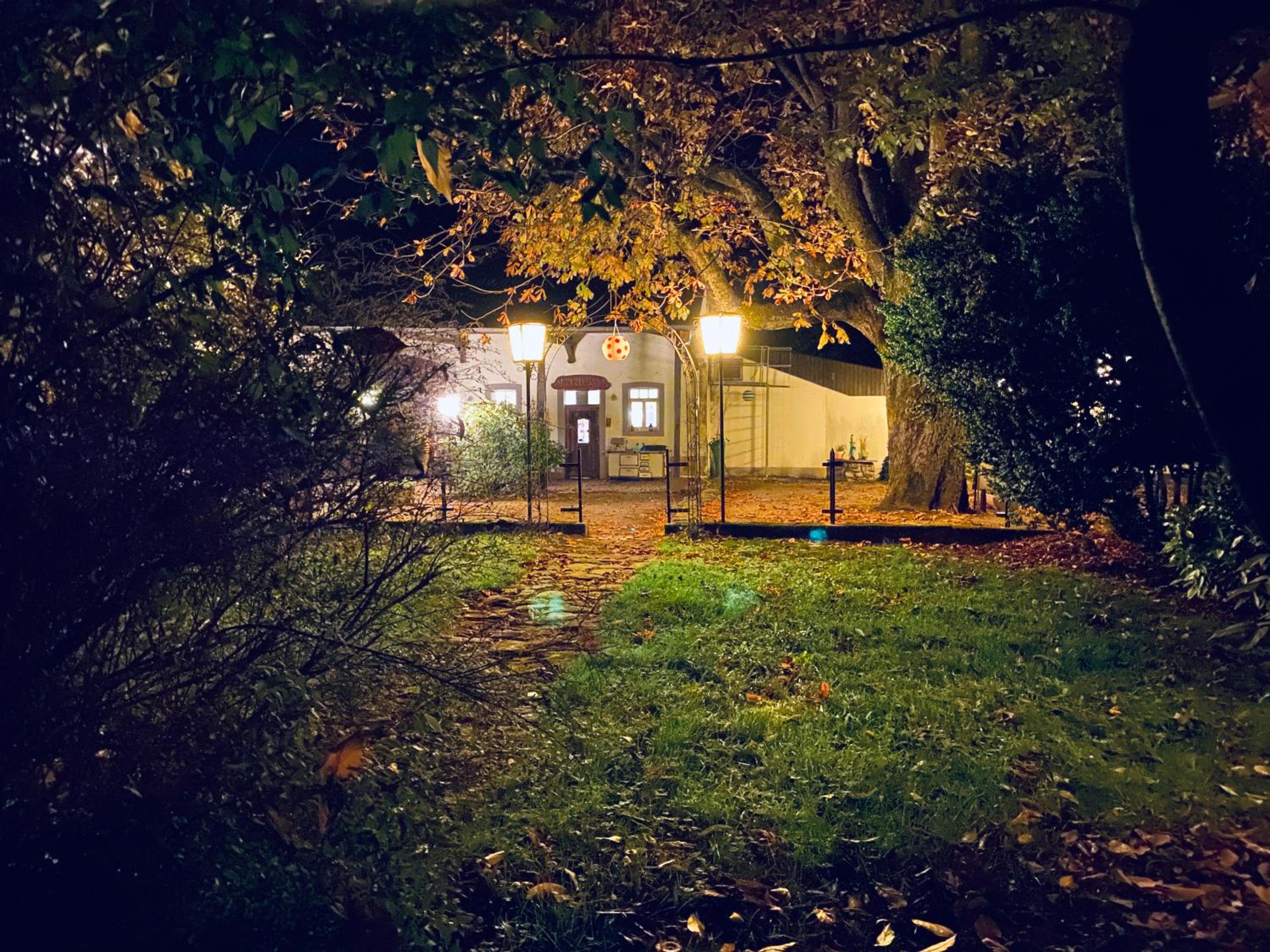 Photo 41