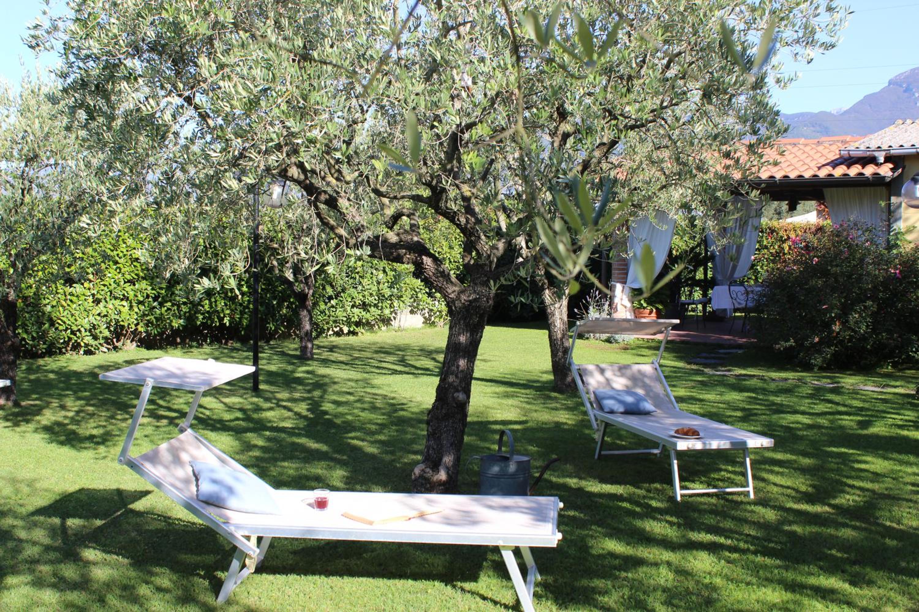 Villa Dimora degli ulivi