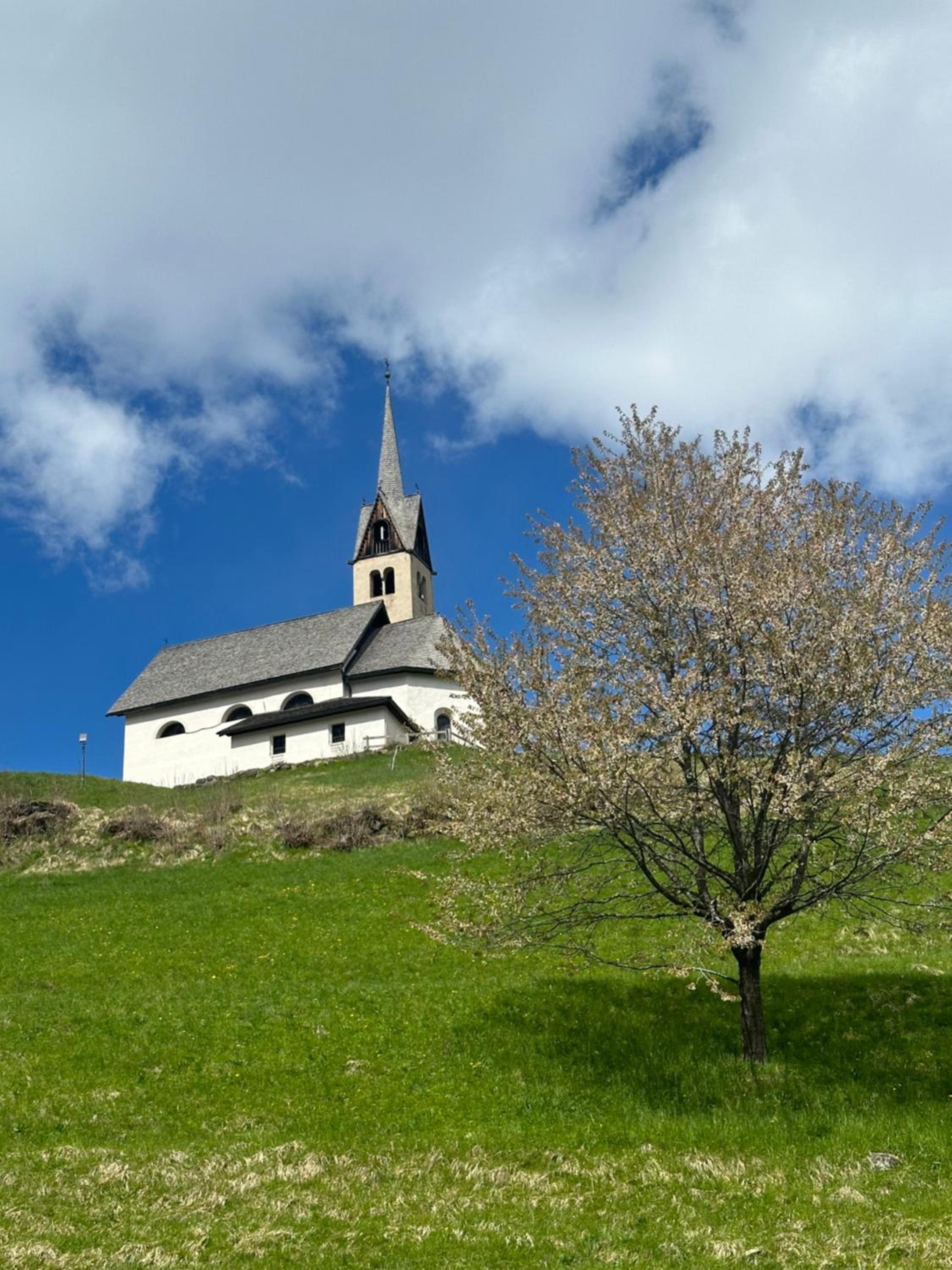 Photo 32