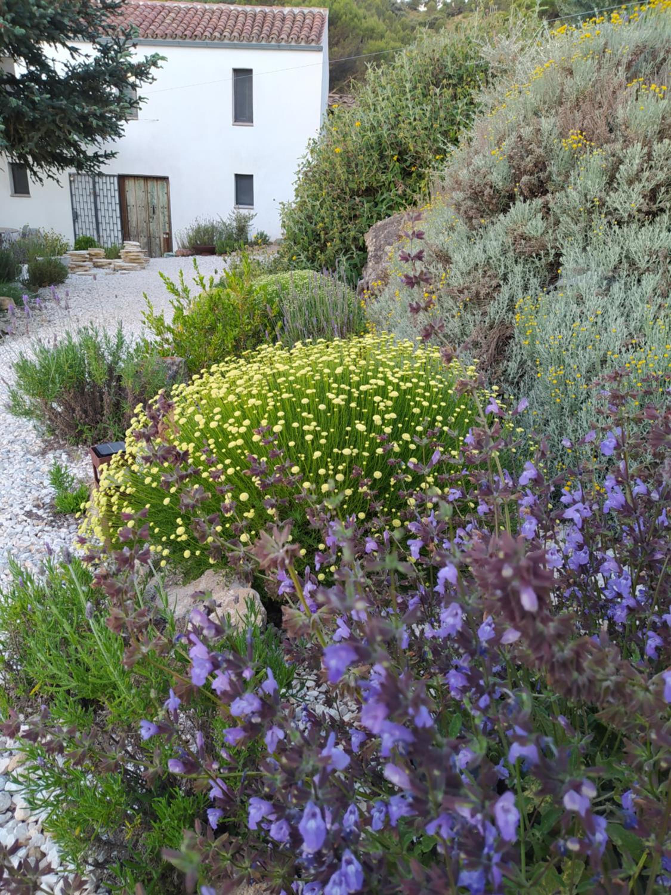 Photo 47