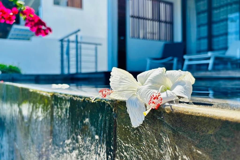 Bluepearl, Sileview Residence