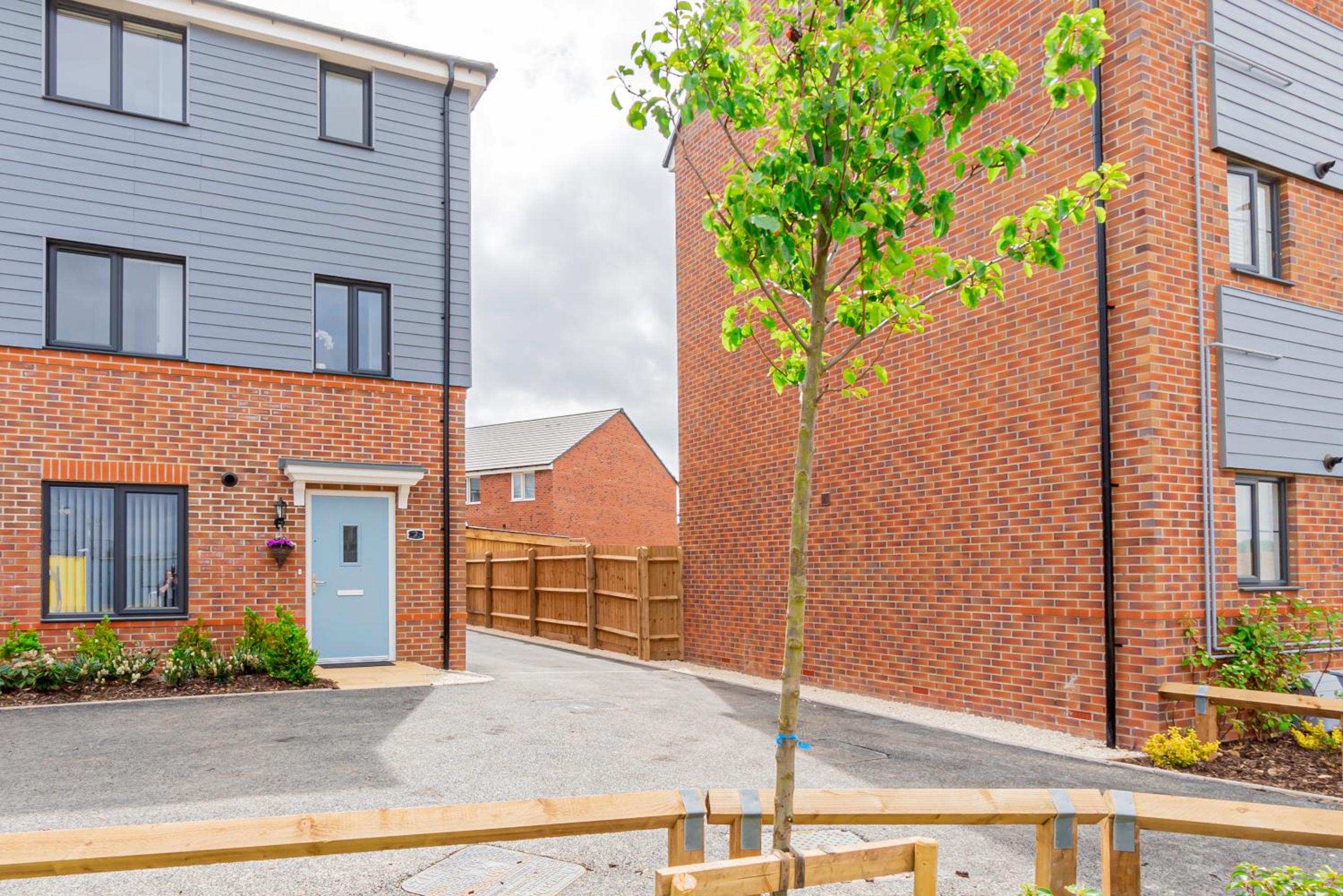 Modern House with Garden view 3