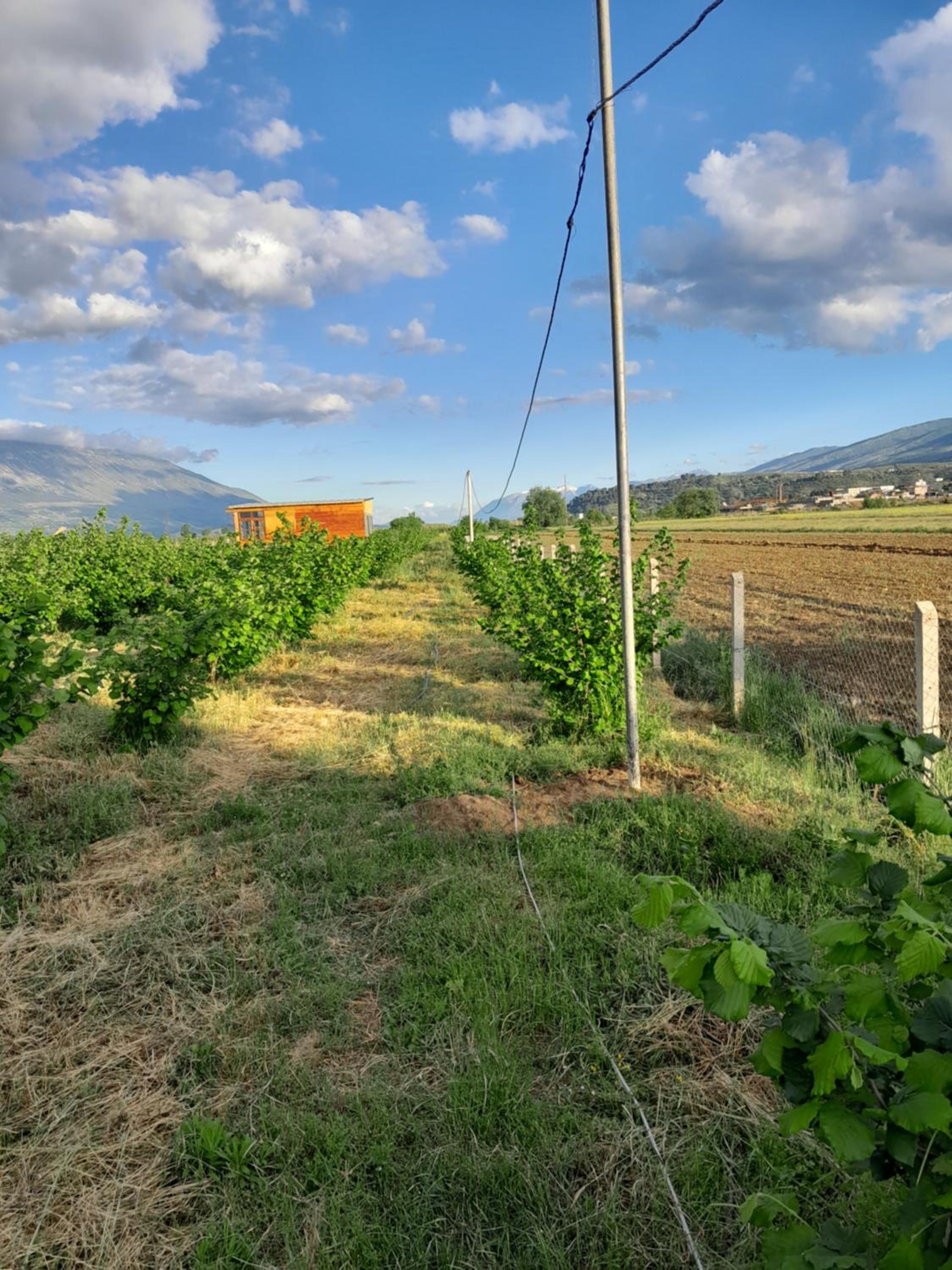 Camping Lajthia photo 2