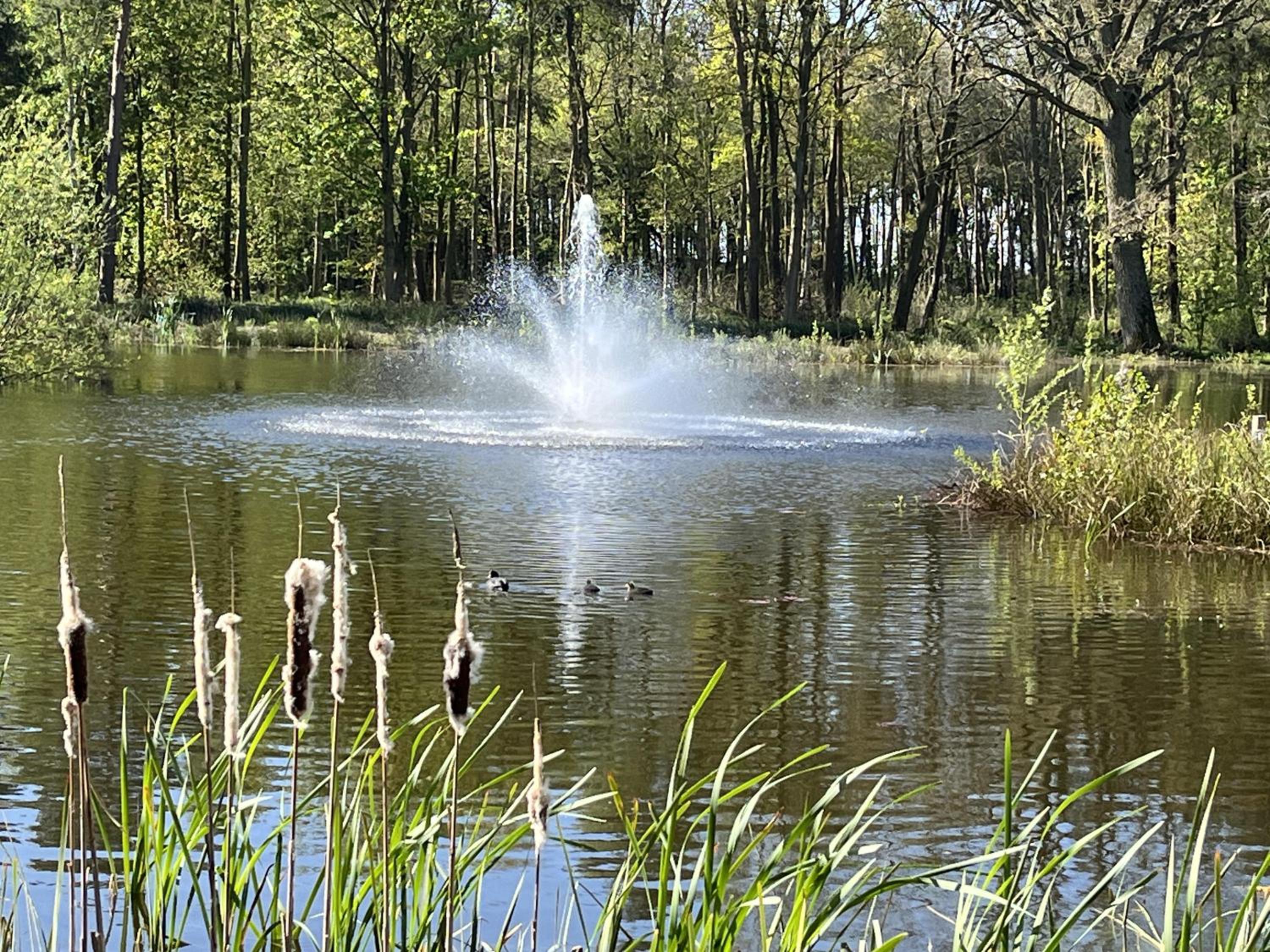 Photo 33