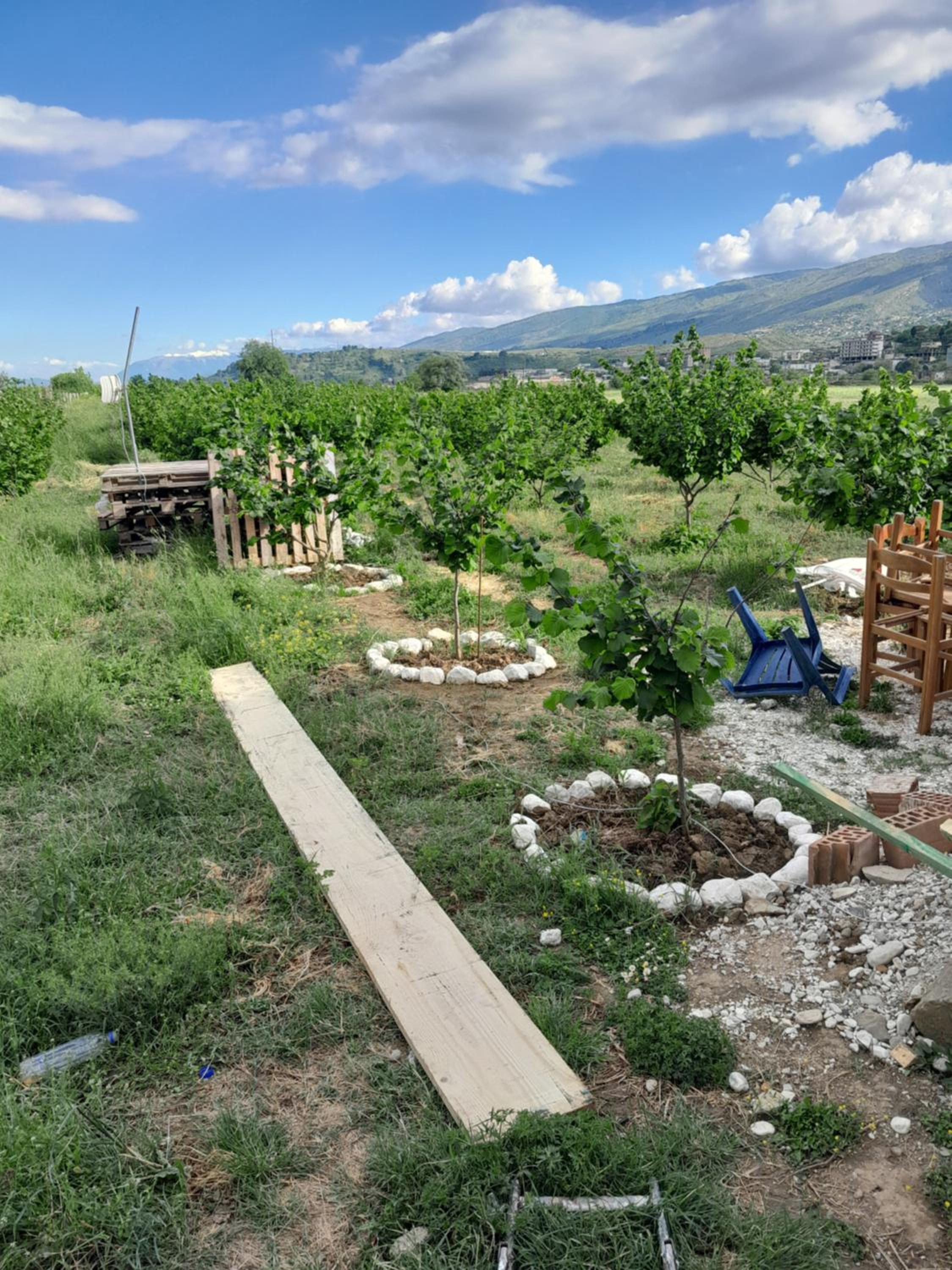 Camping Lajthia photo 3