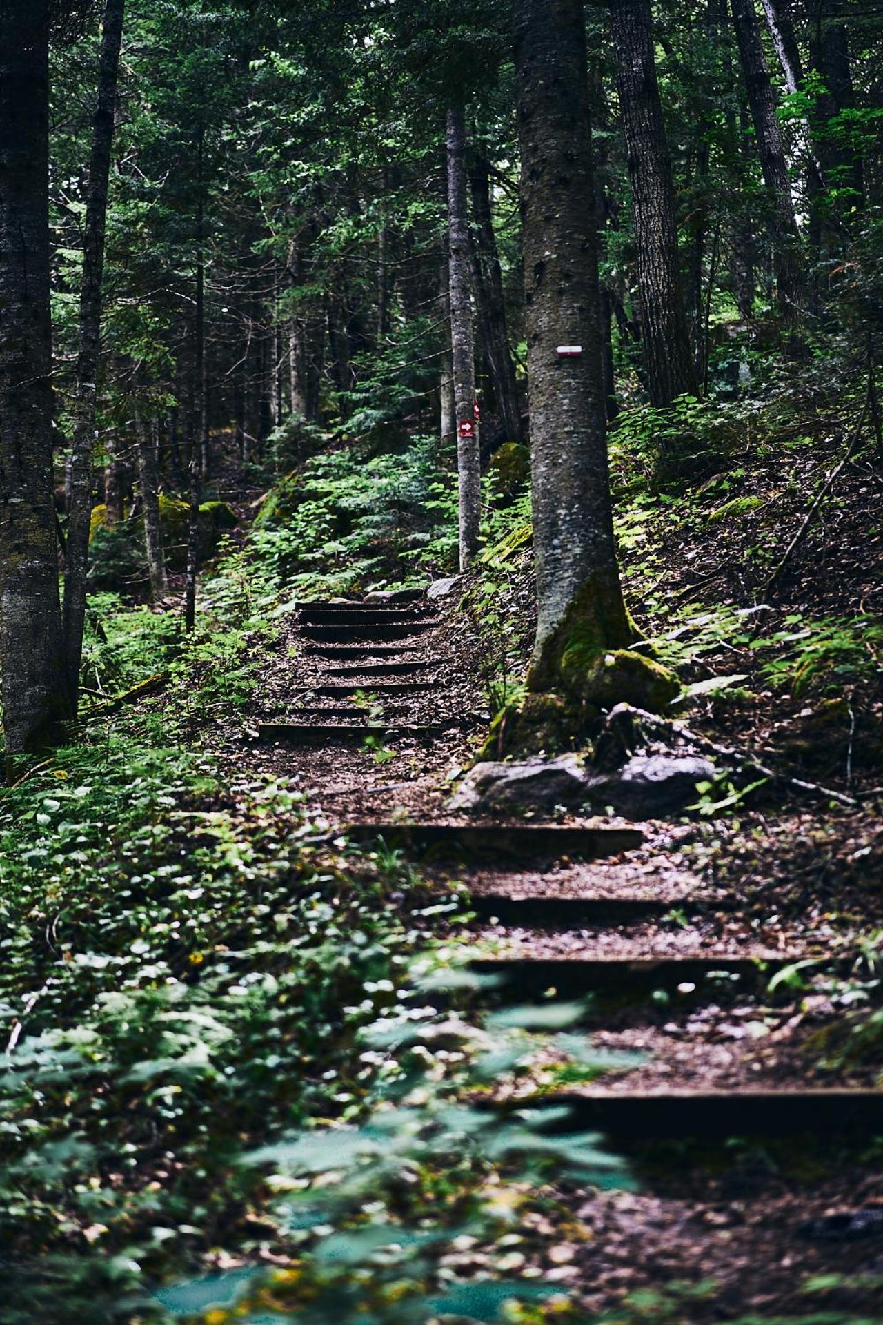 Momentôm Refuges Nature