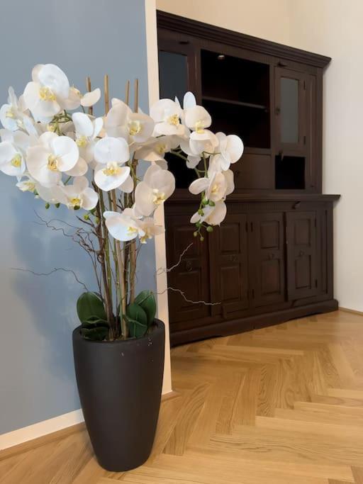 Classy Suite Museumsquartier