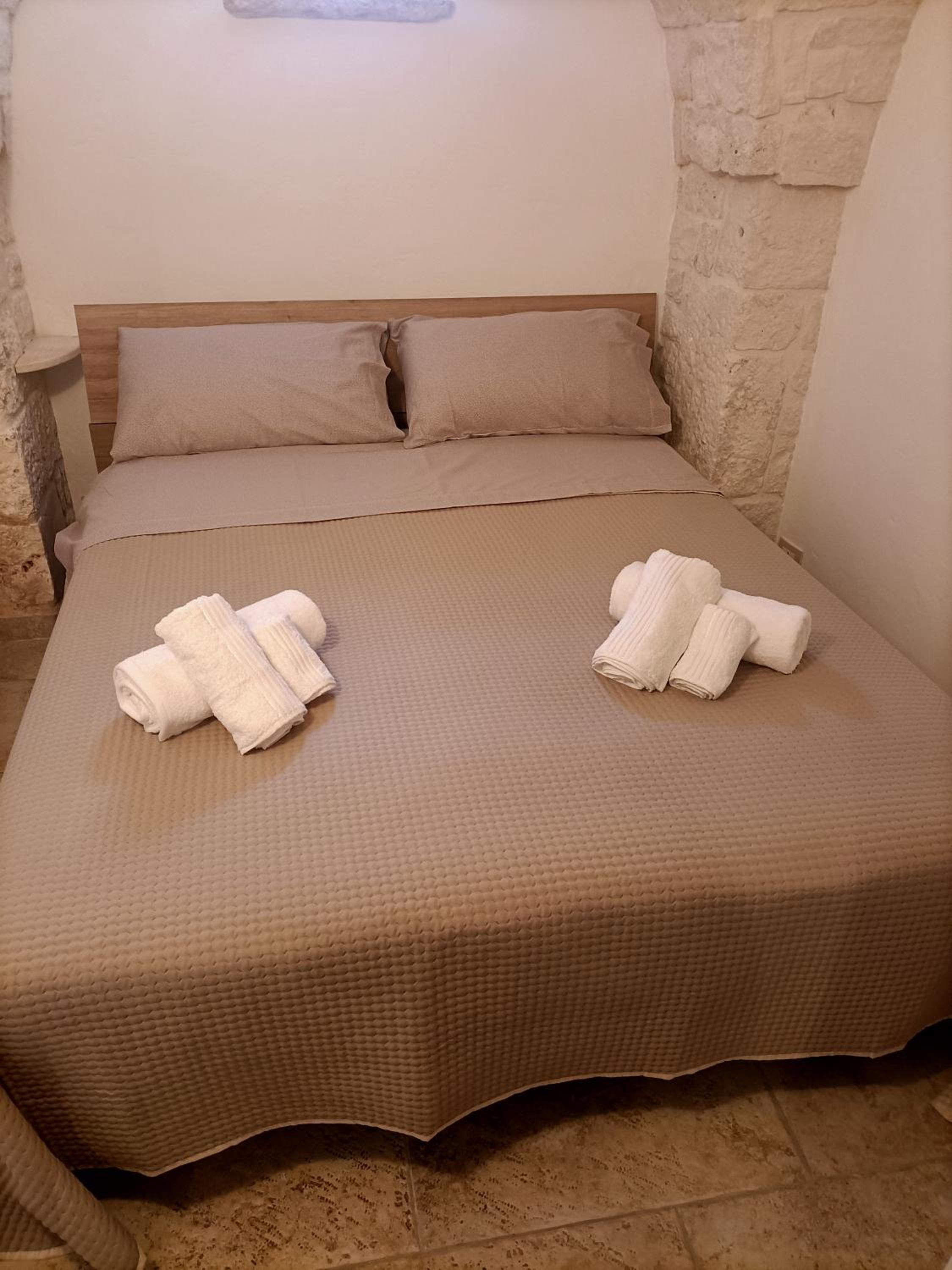 DOMUS CITO