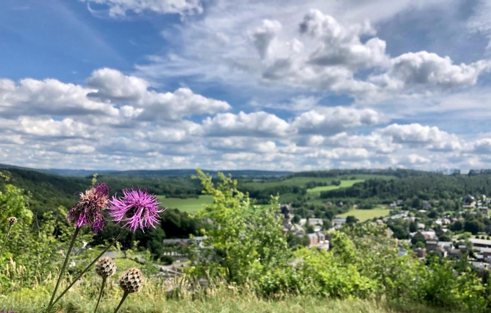 Boshuisje Durbuy Nr6