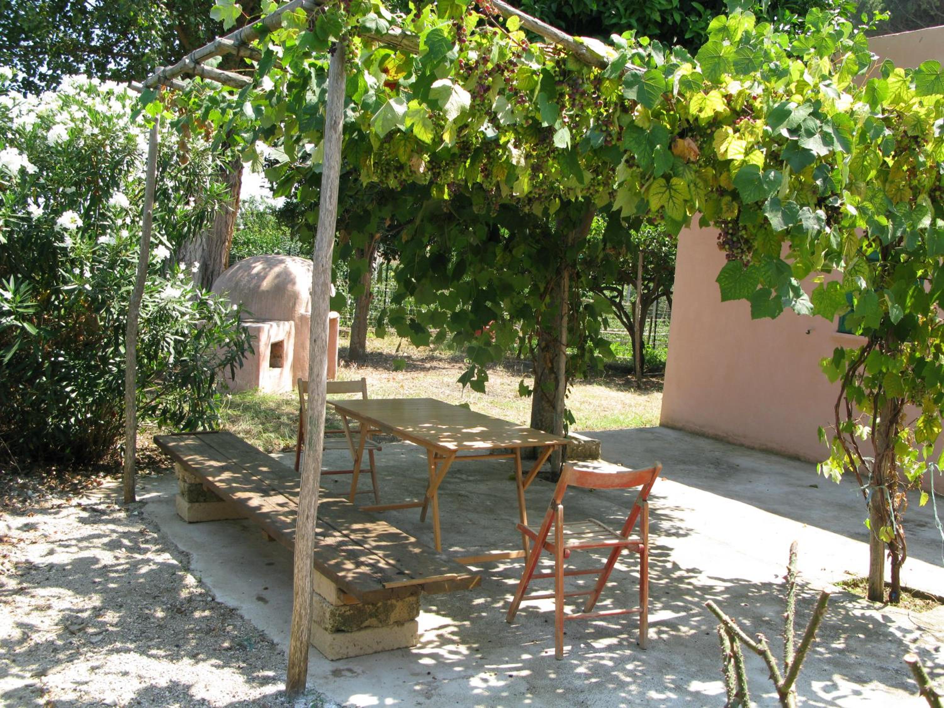 Photo 6