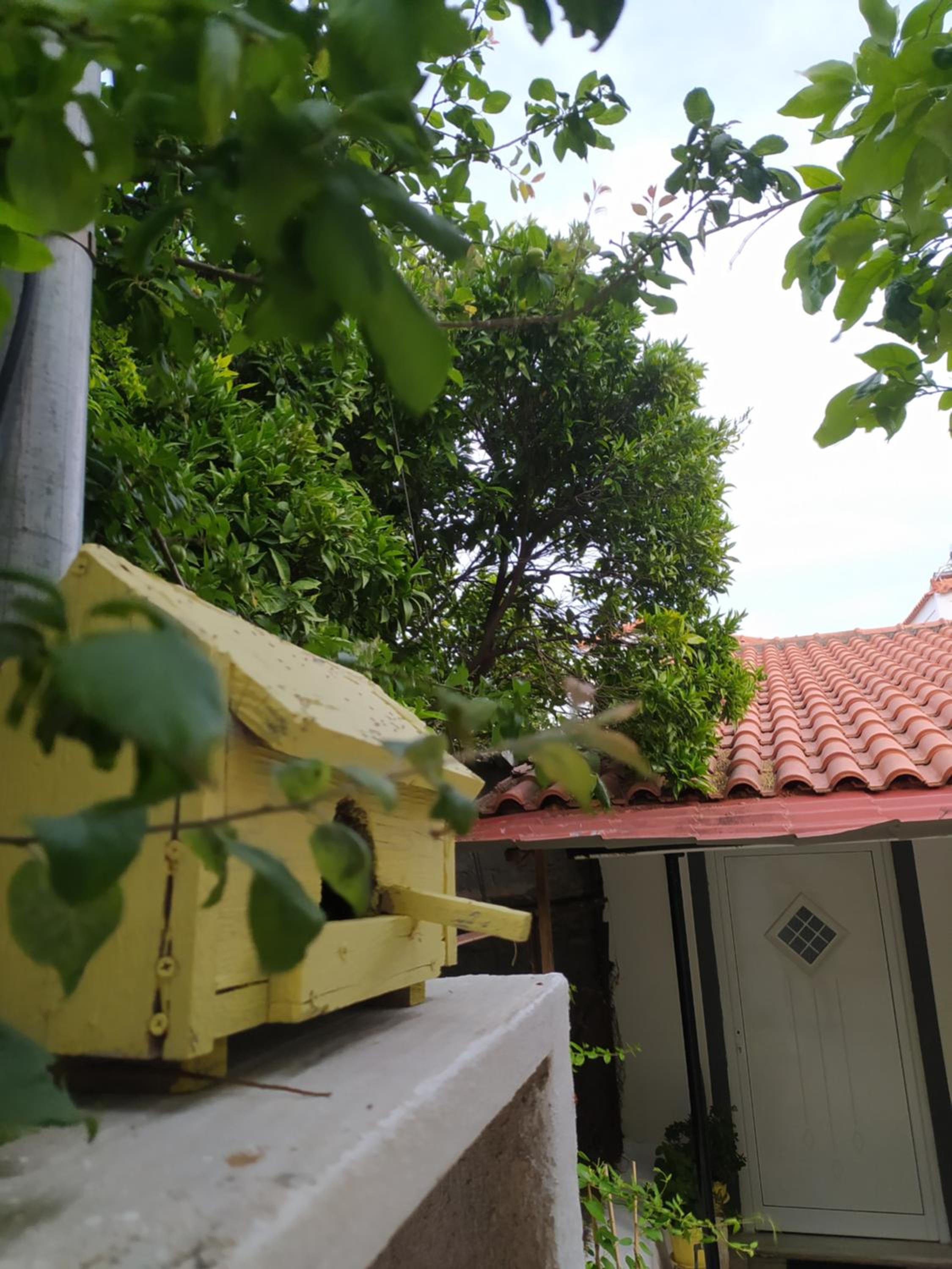 Photo 14