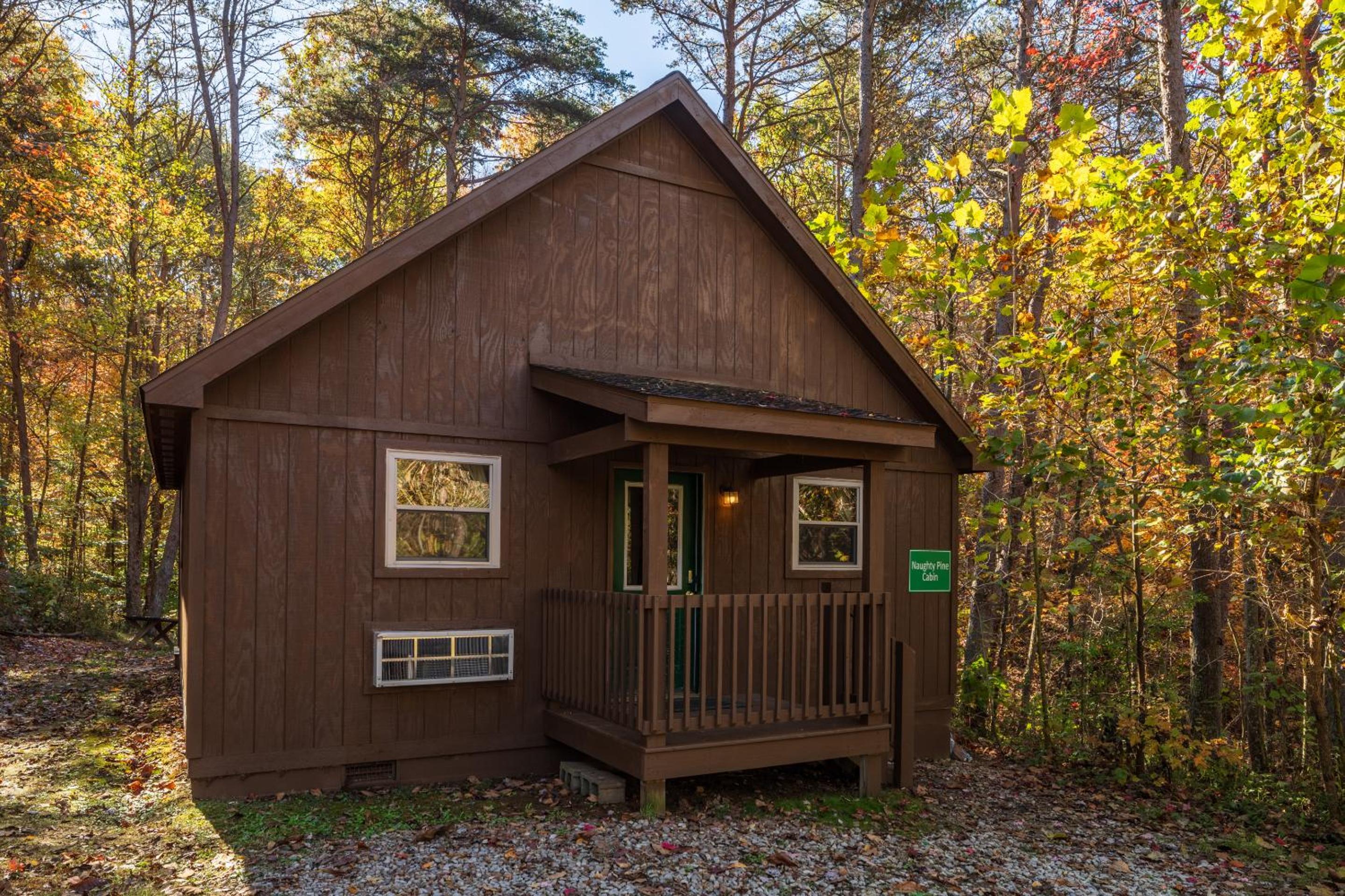 Blue Rose Cabins - Naughty Pine Cabin view 2