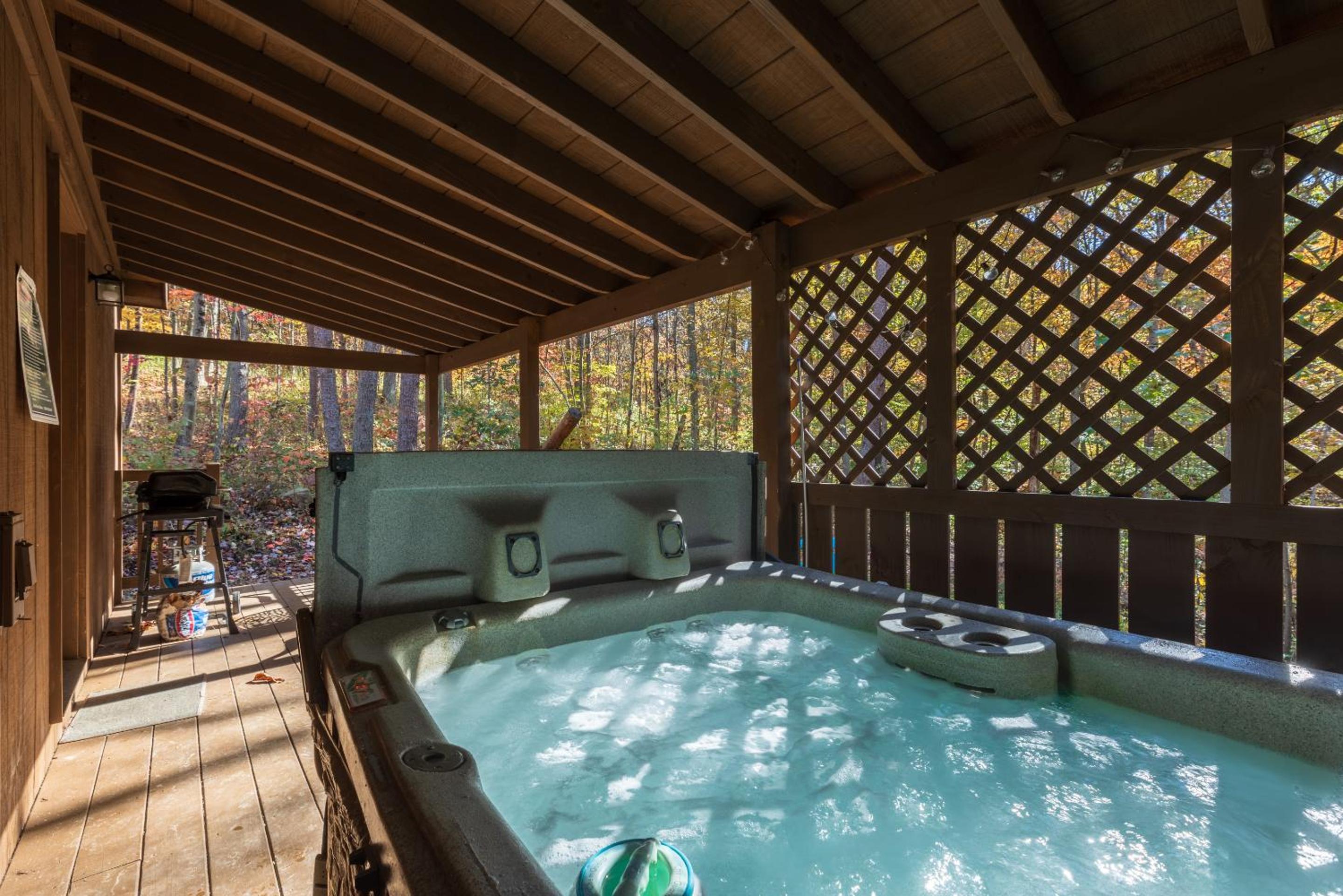 Blue Rose Cabins - Naughty Pine Cabin view 3