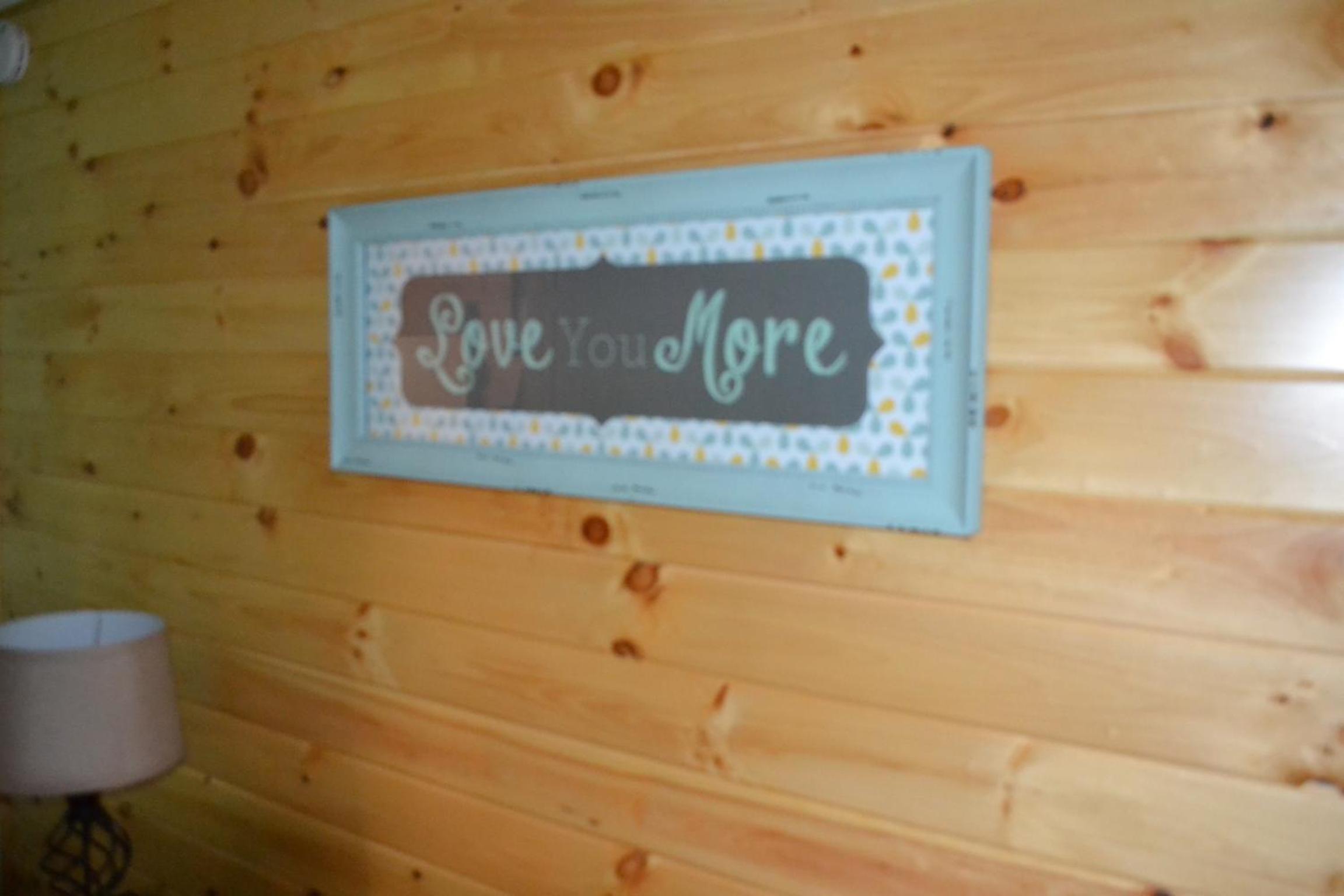 Blue Rose Cabins - Naughty Pine Cabin view 5