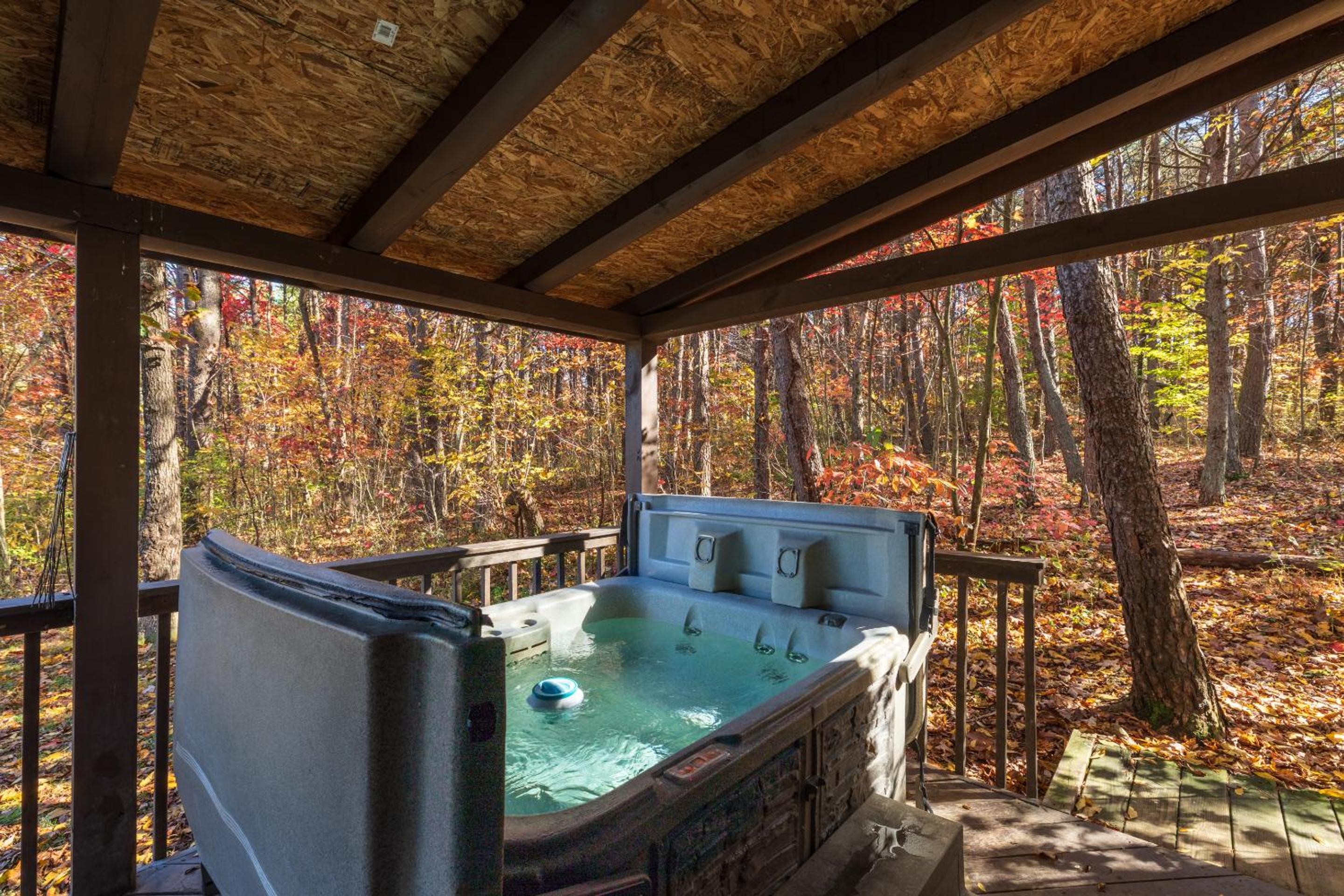 Blue Rose Cabins - Rosewood Cabin view 3