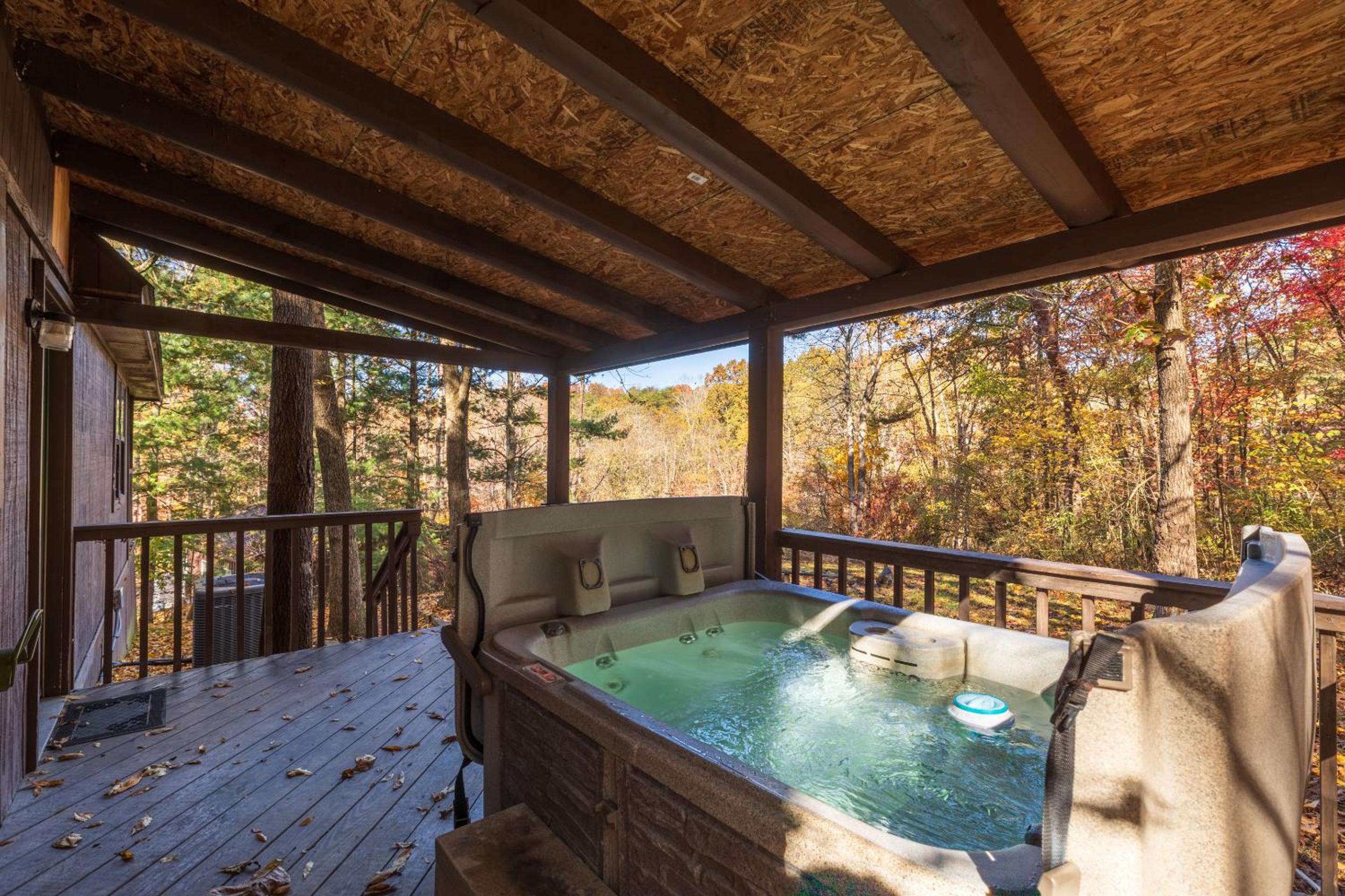 Blue Rose Cabins - Rosewood Cabin view 4