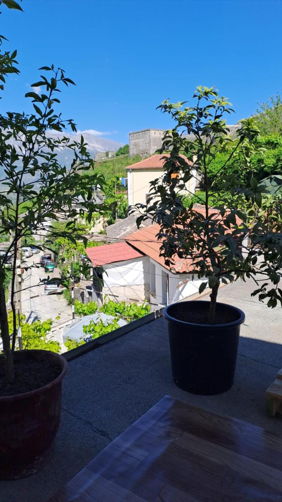 Manga guesthouse