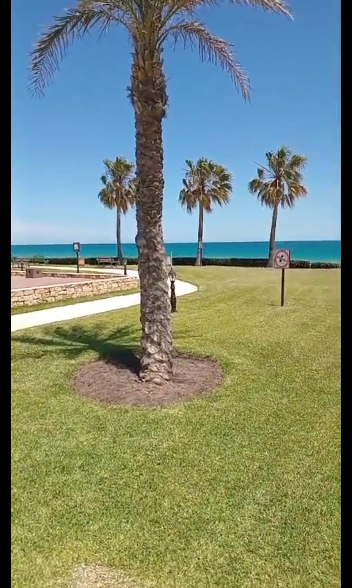 Fantástic apartment the beach marina 2