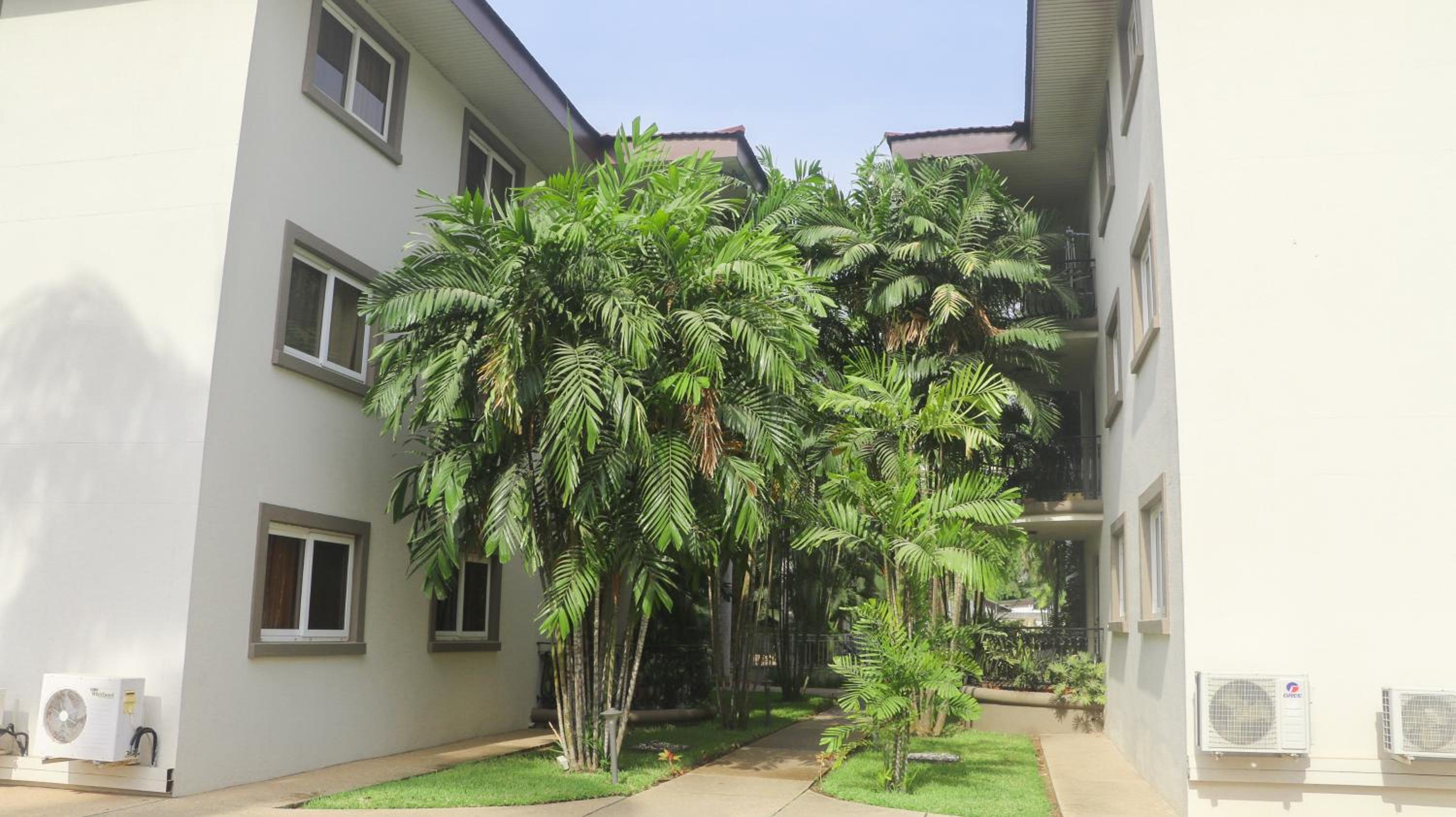 Palm Court