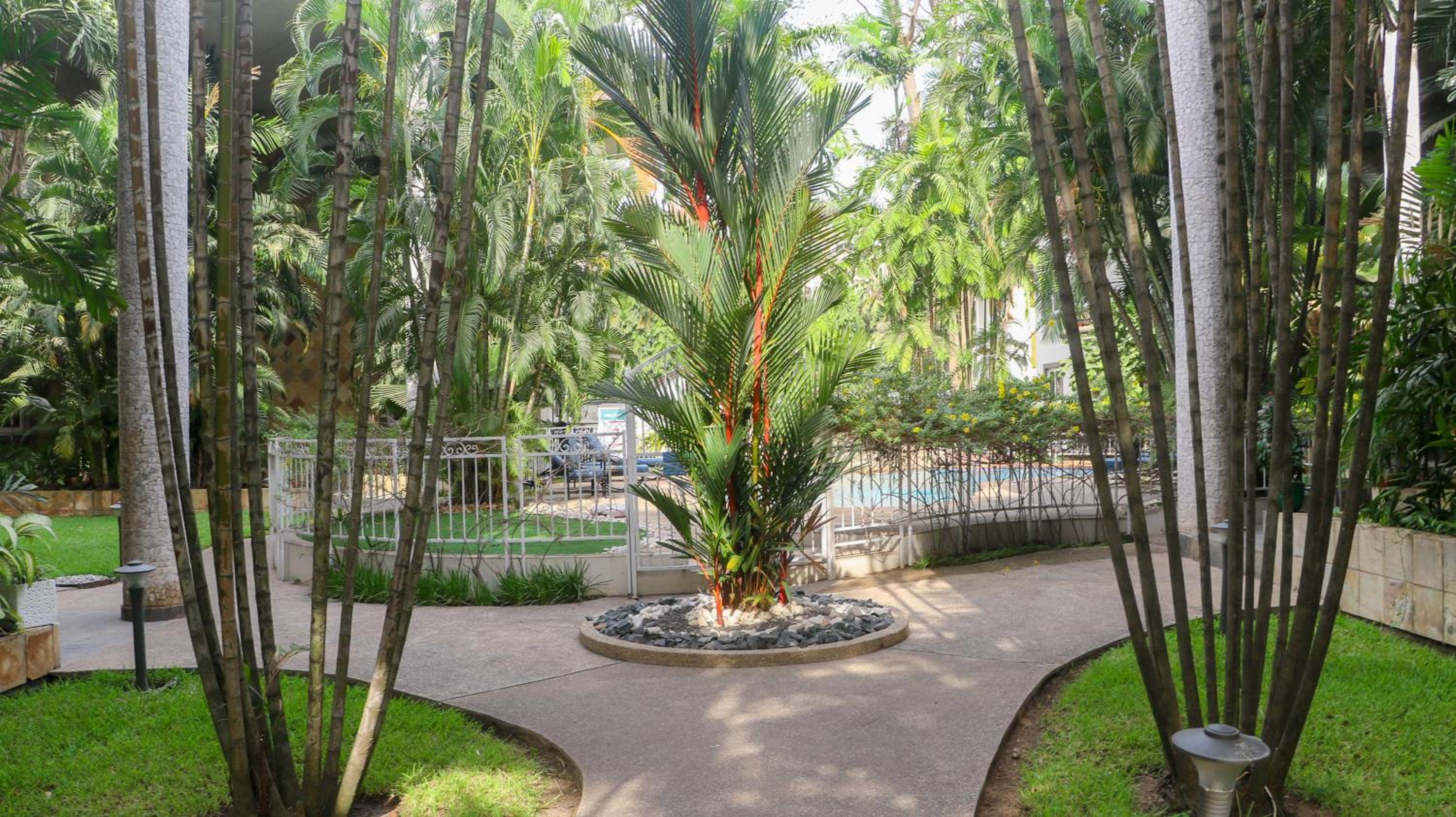 Palm Court