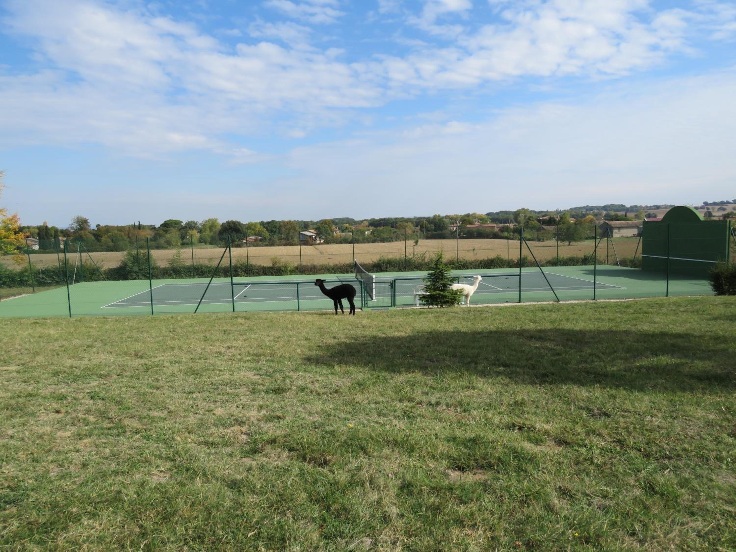 Photo 8