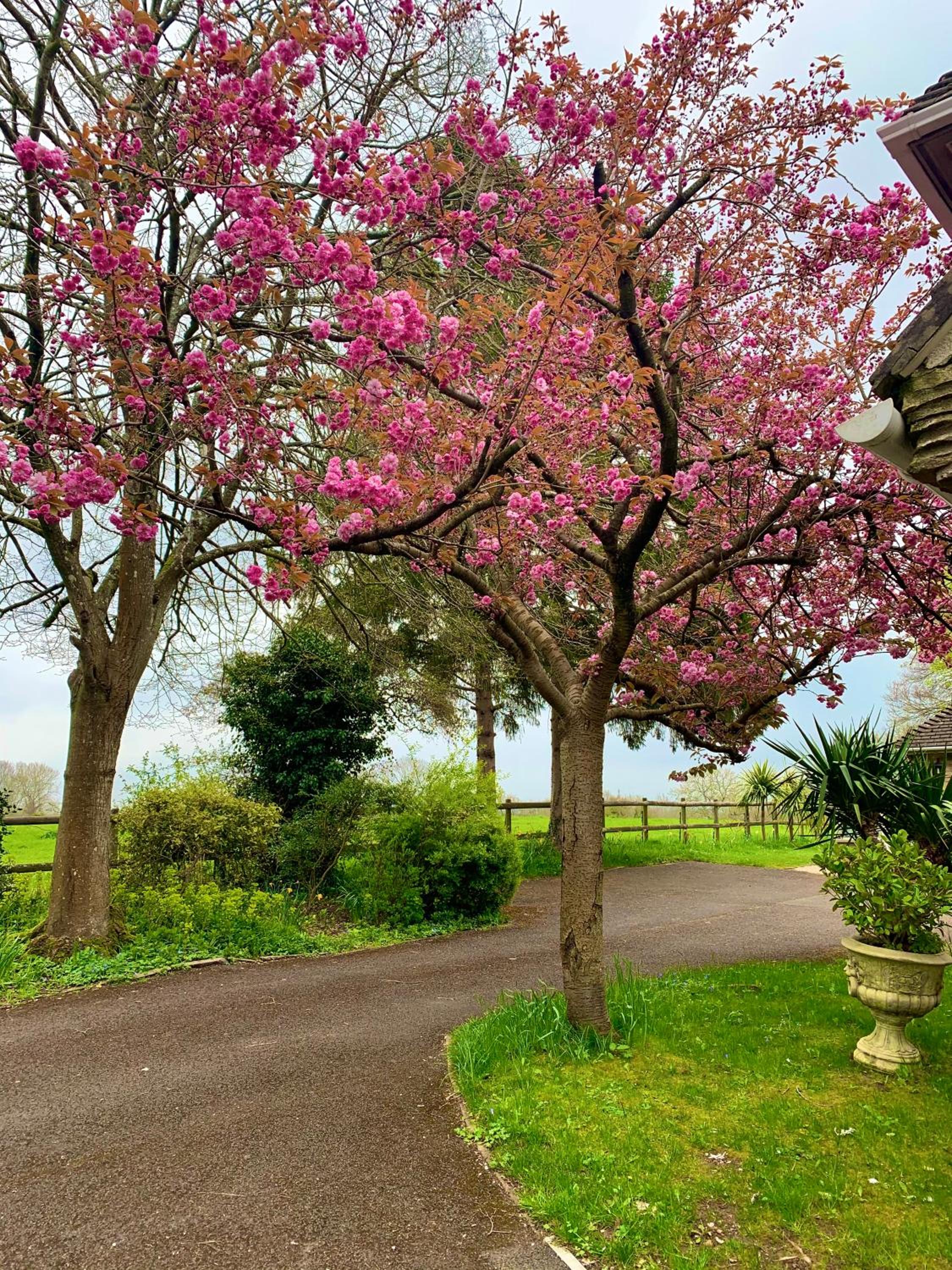 Stillmeadow, photo 48