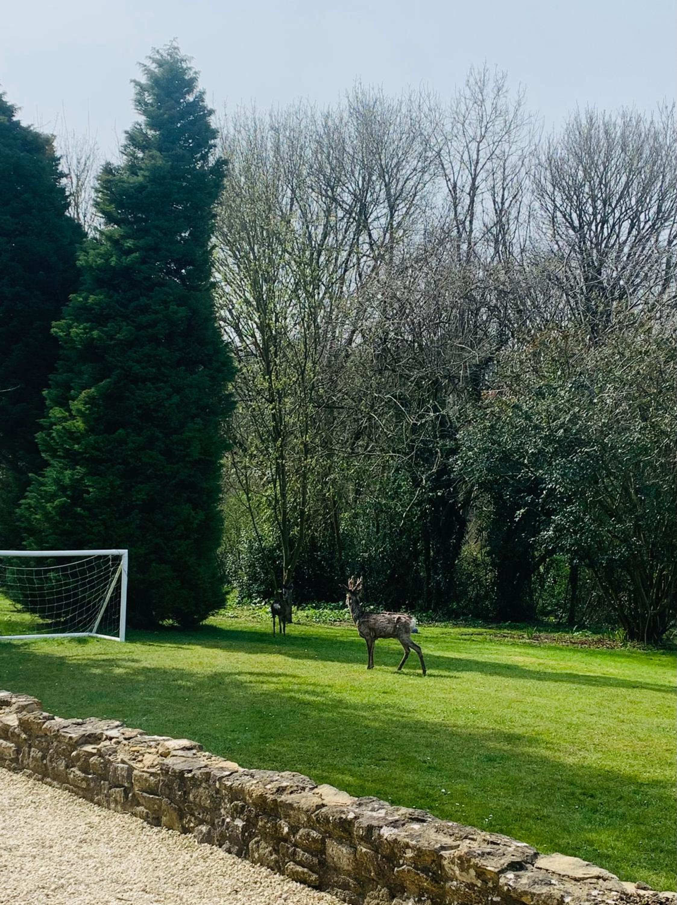 Stillmeadow, photo 28