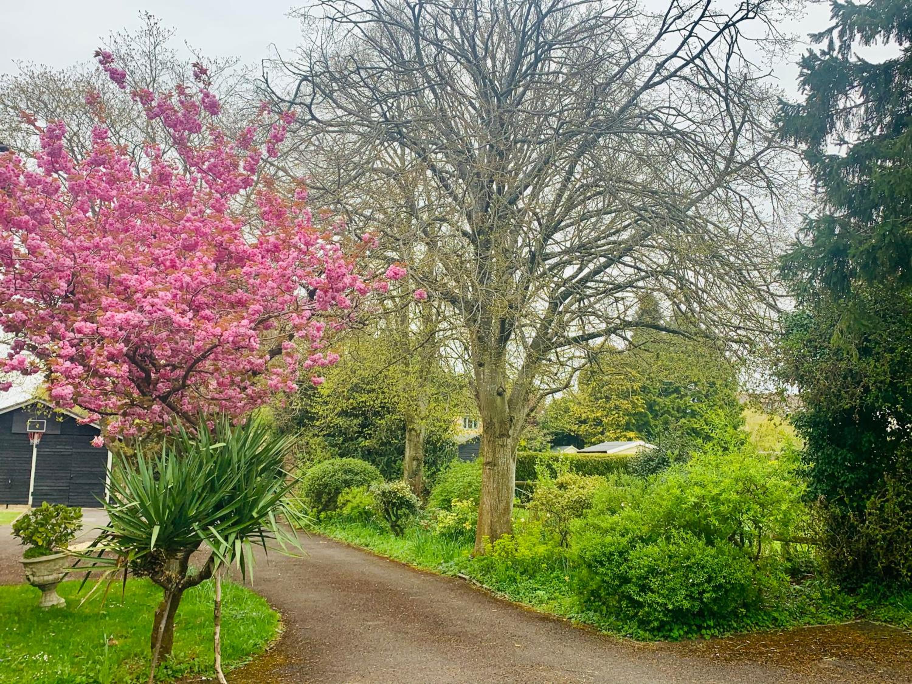 Stillmeadow, photo 19