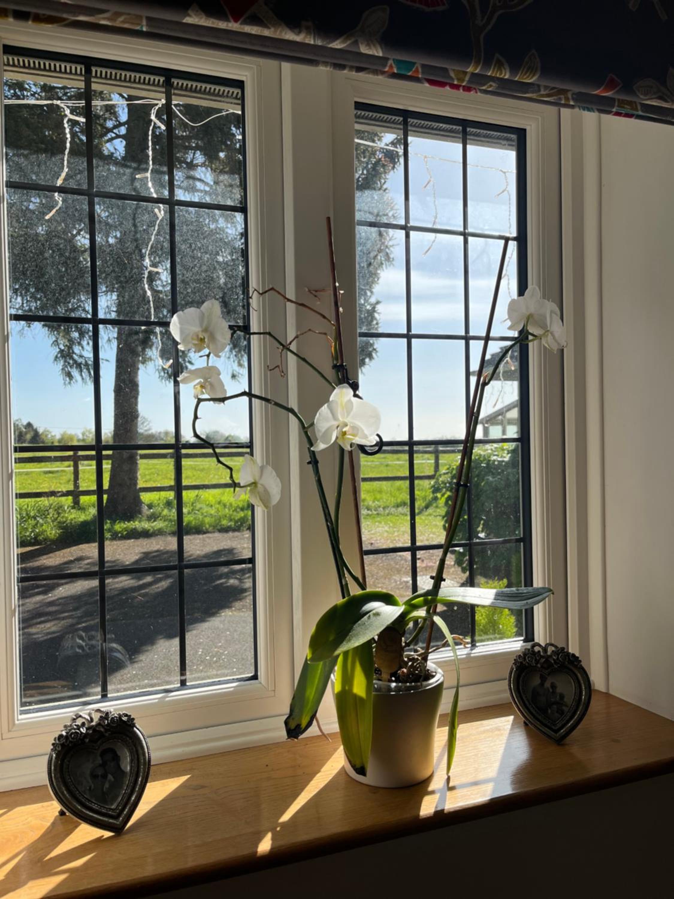 Stillmeadow, photo 40