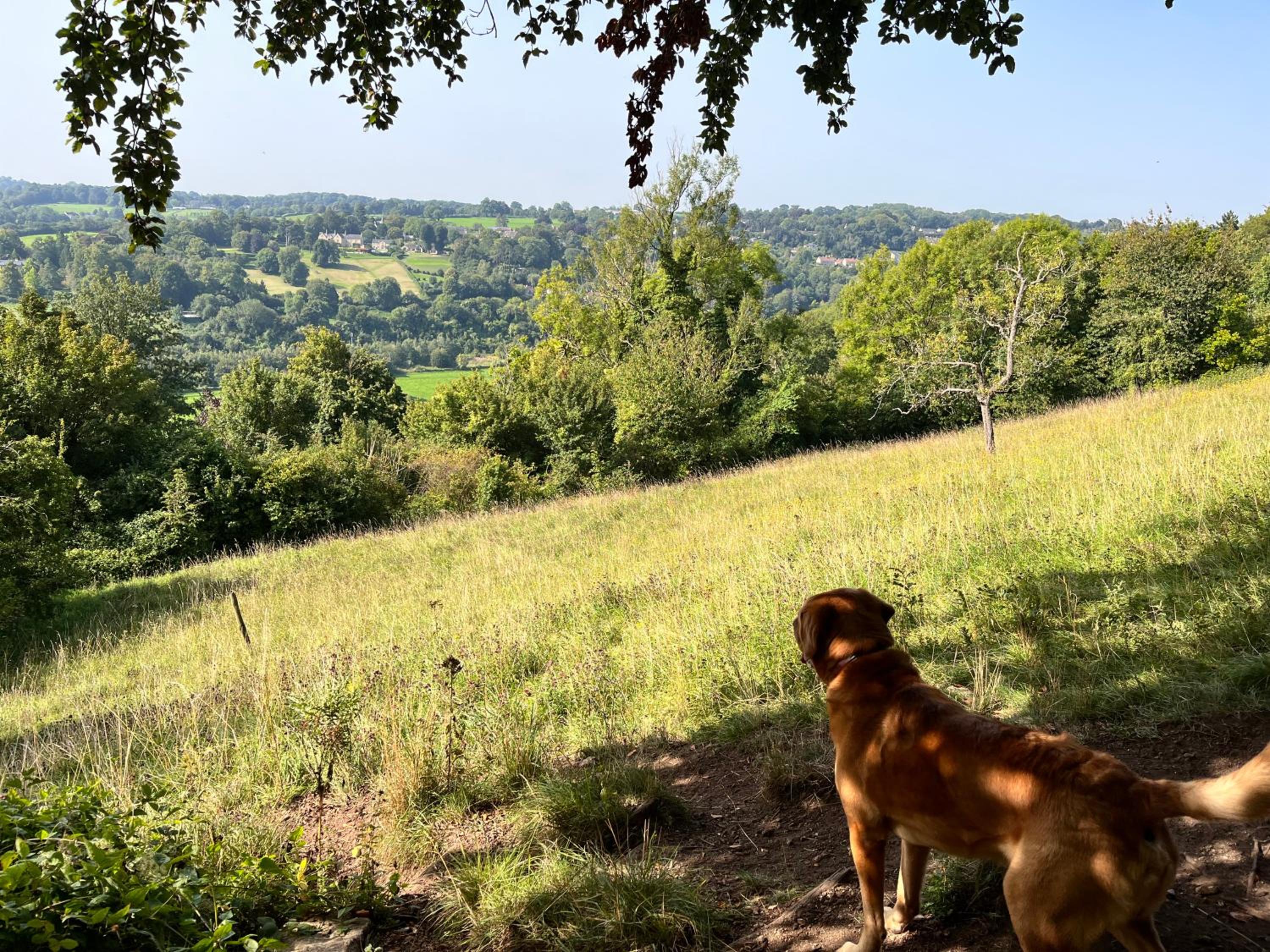 Stillmeadow, photo 54