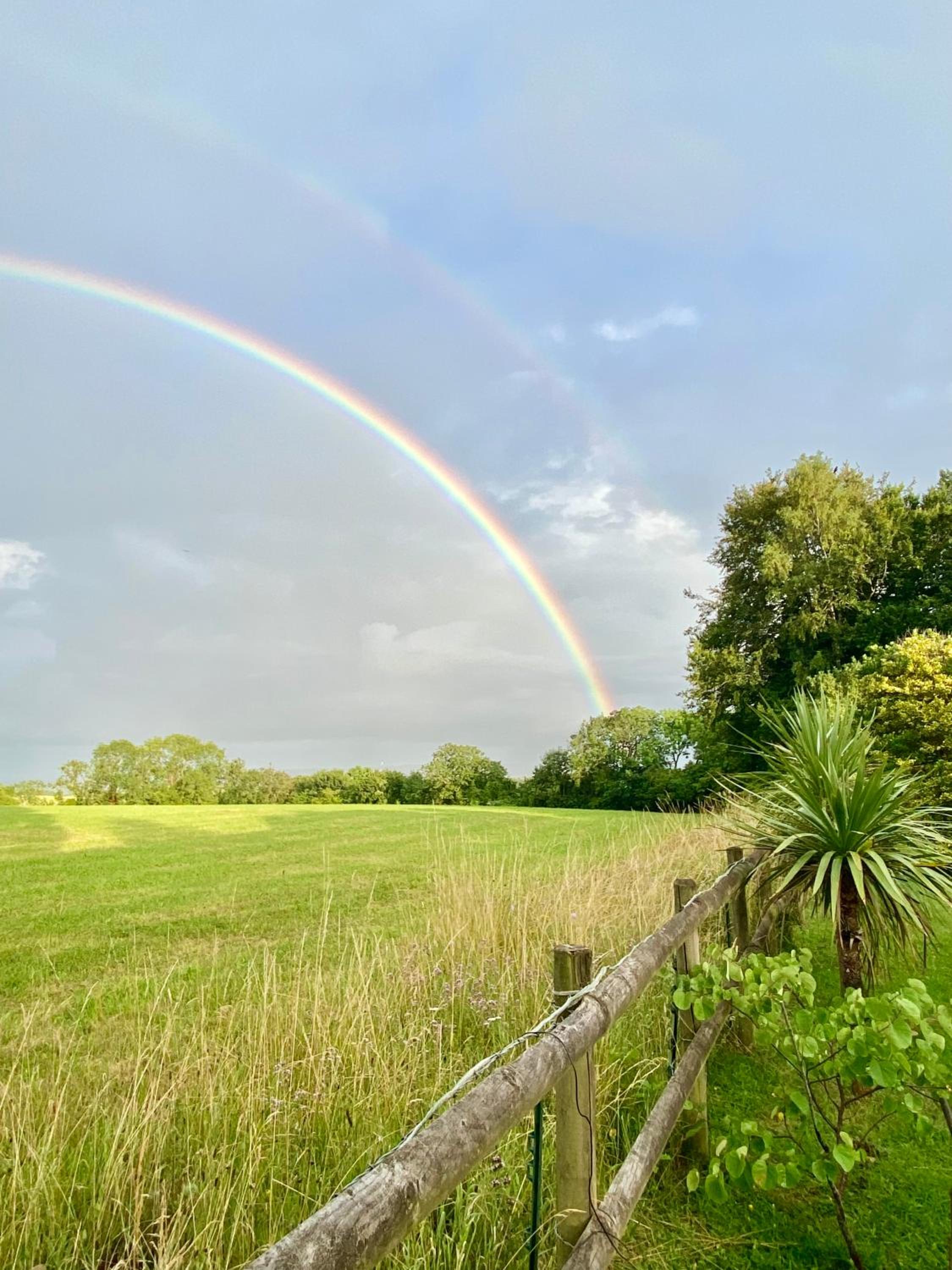 Stillmeadow, photo 8
