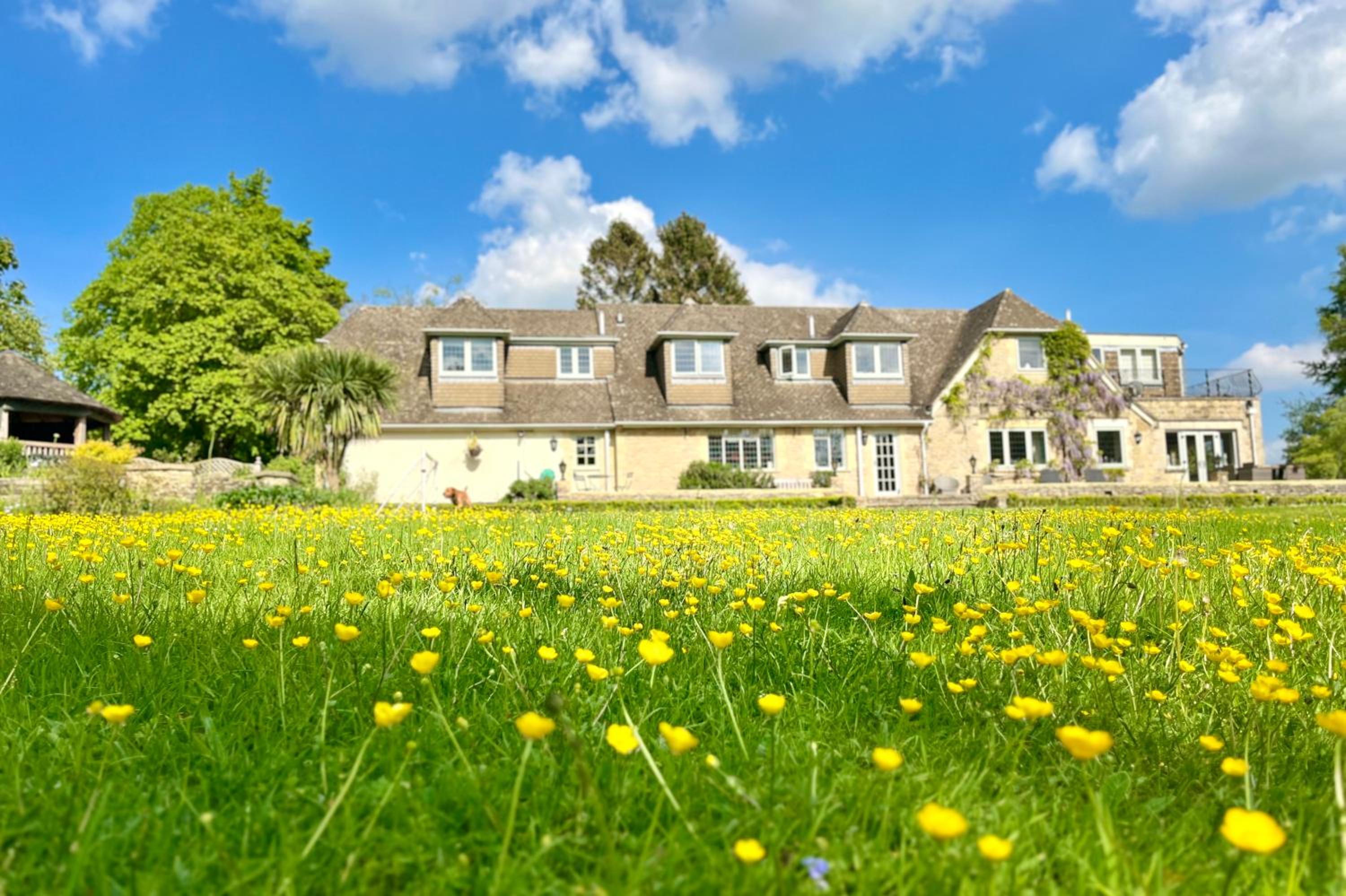 Stillmeadow