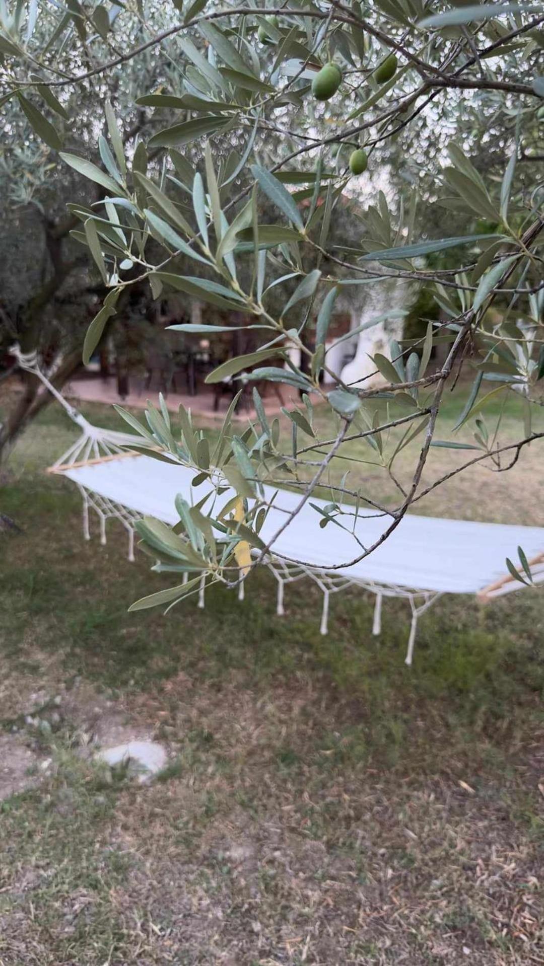 OlympPlace Olive House-Ground floor