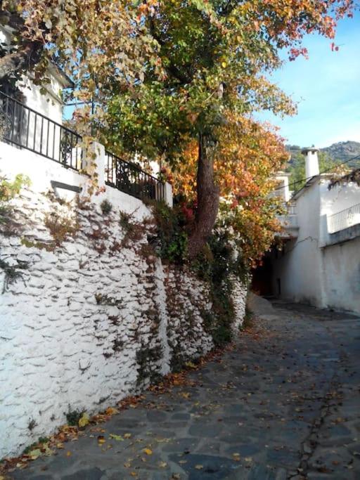 Casa Margarita