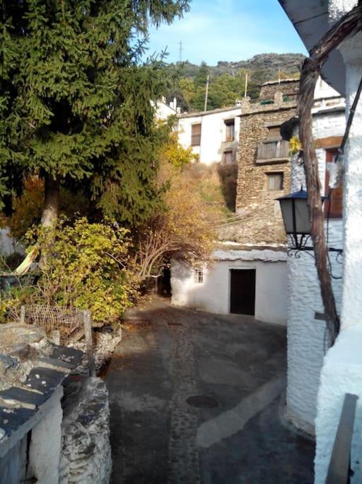 Casa Margarita