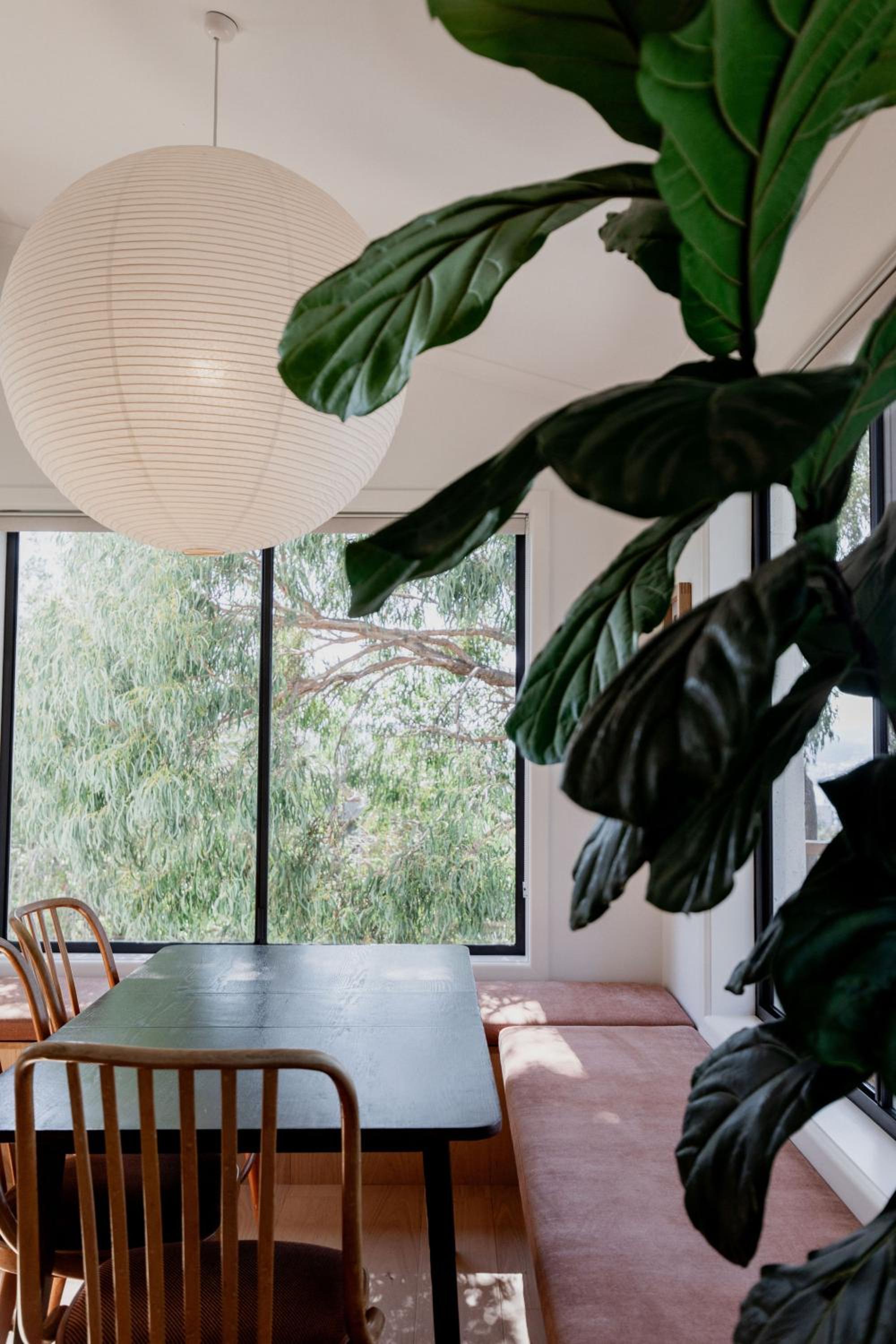 Trendy apartment in the heart of West Hobart