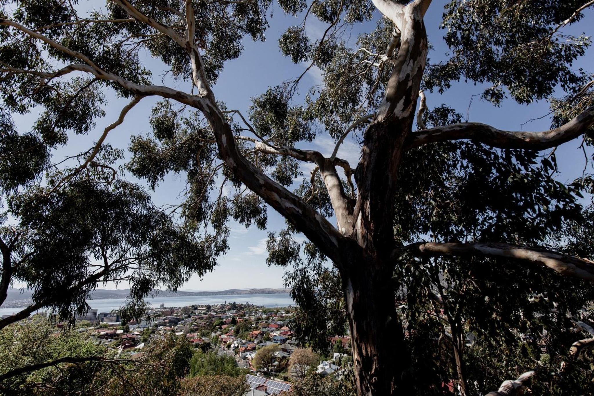 Trendy apartment in the heart of West Hobart