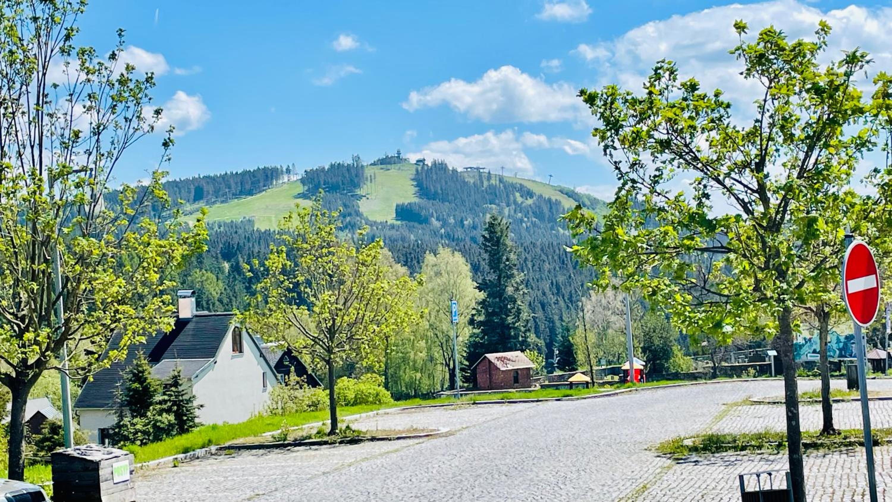 Plešivec - TREE