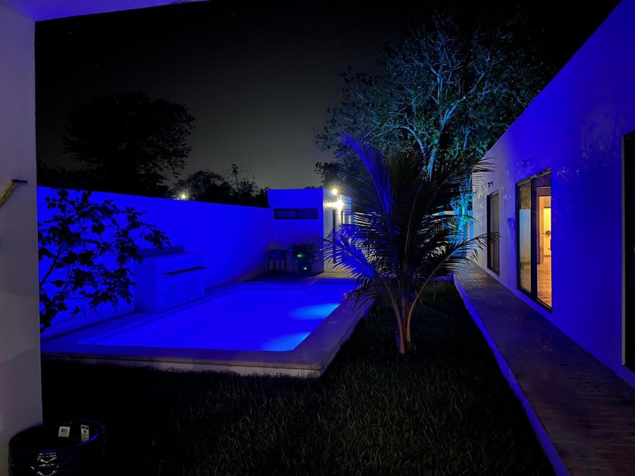 Casa Tortuga Valladolid view 4
