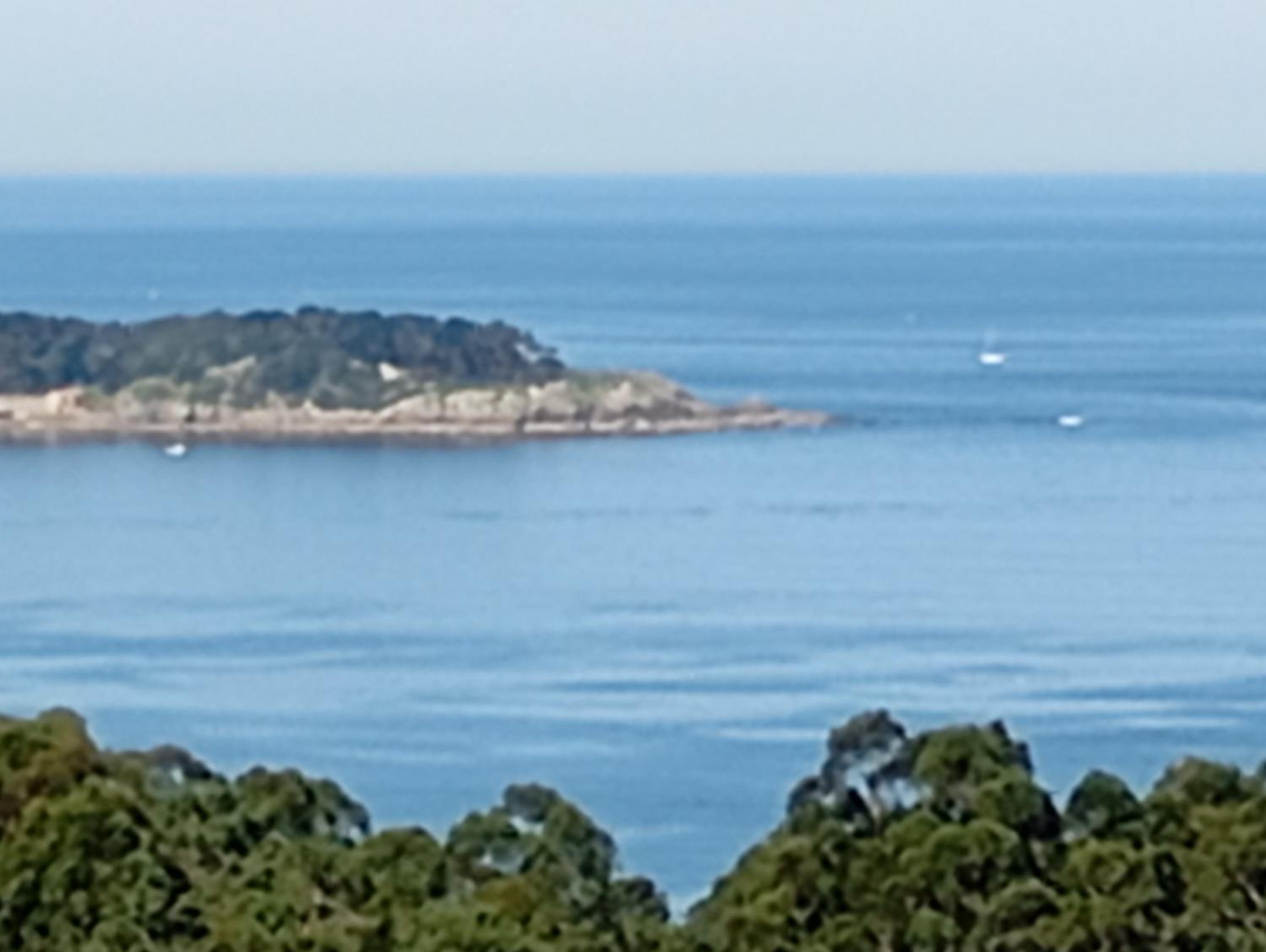 Espectaculares vistas a la Ría de Aldán