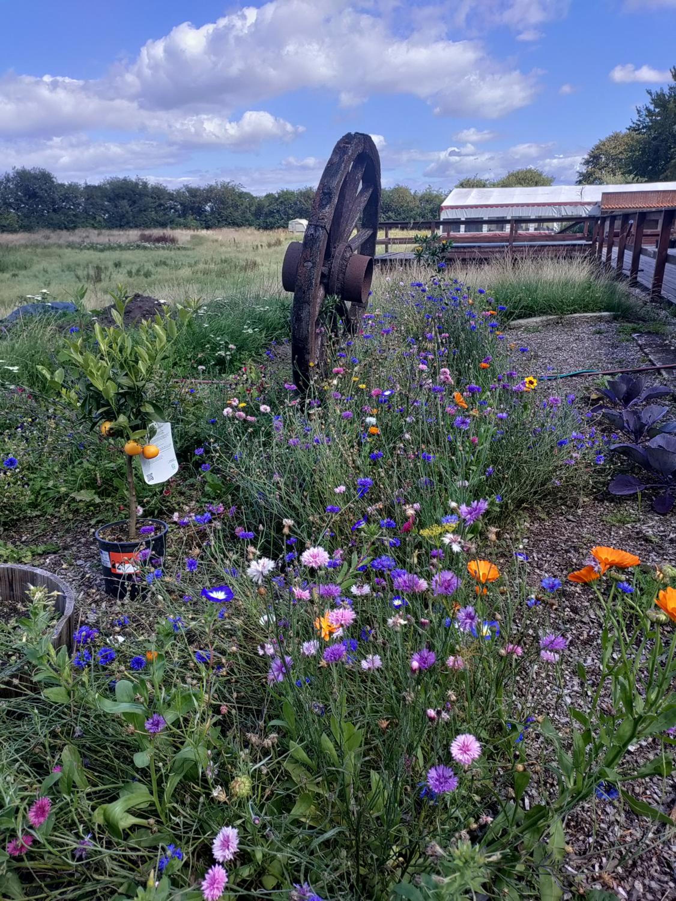 Cozy Cabin with a Beautiful View in the Countryside near Aabenraa
