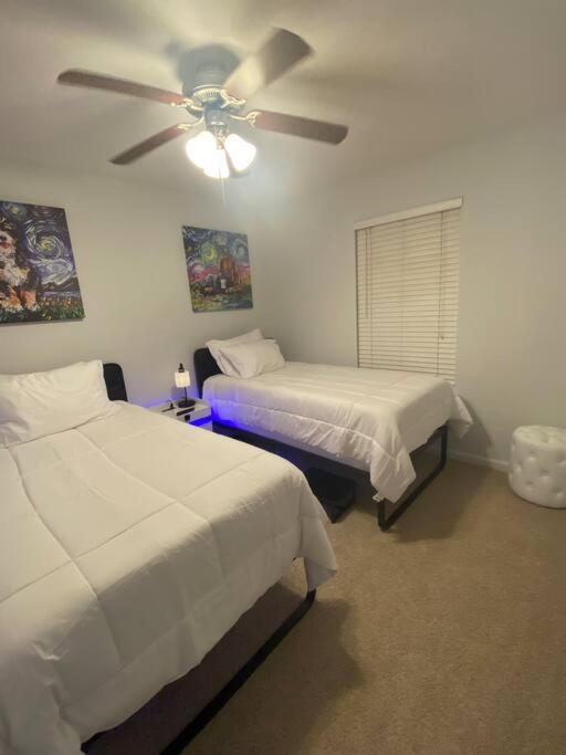 Ma maison Soulard Prime Location! view 2