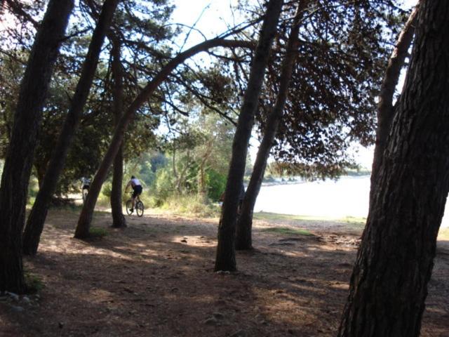 Photo 46