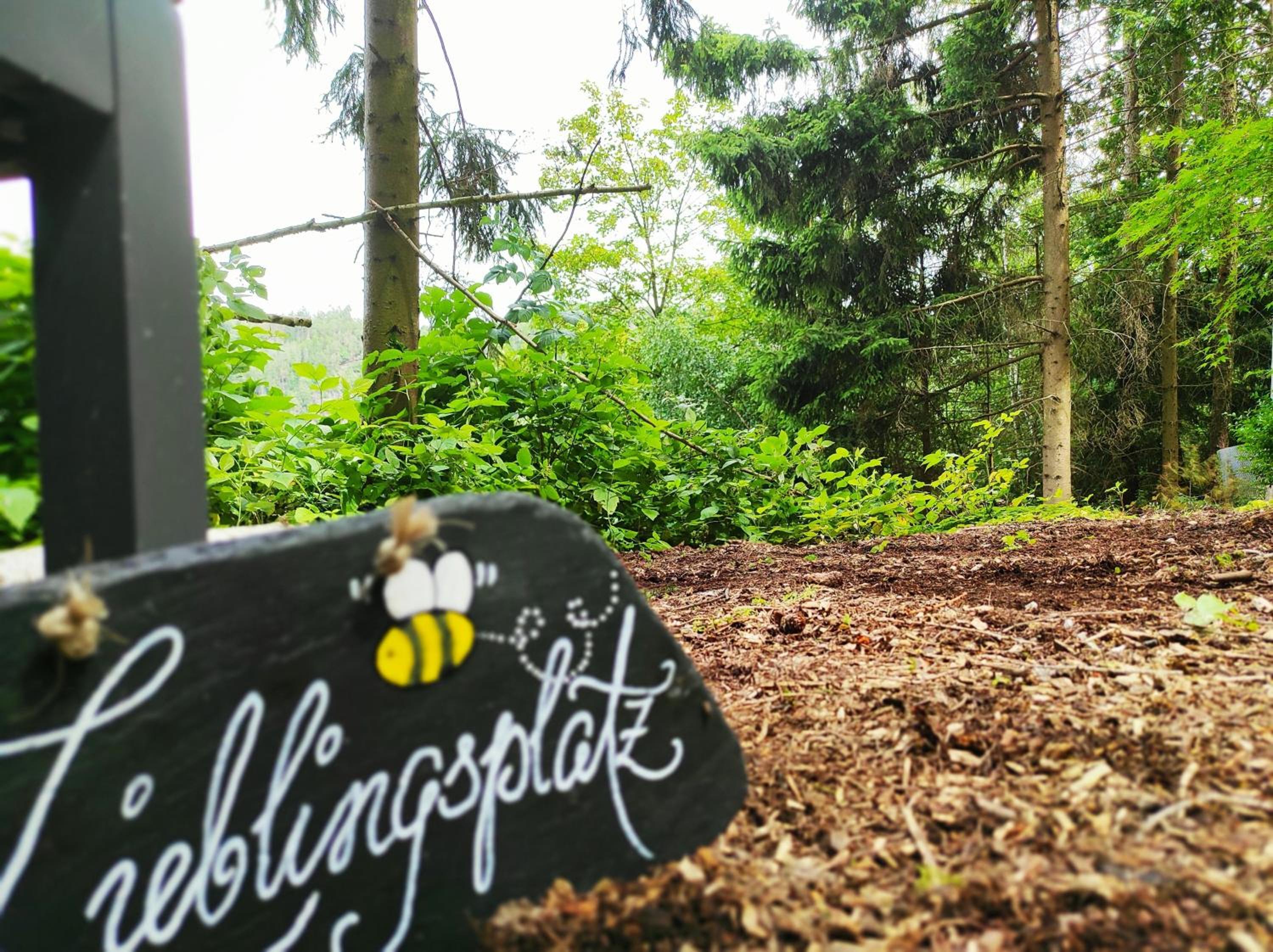 Stausee- WaldLoft