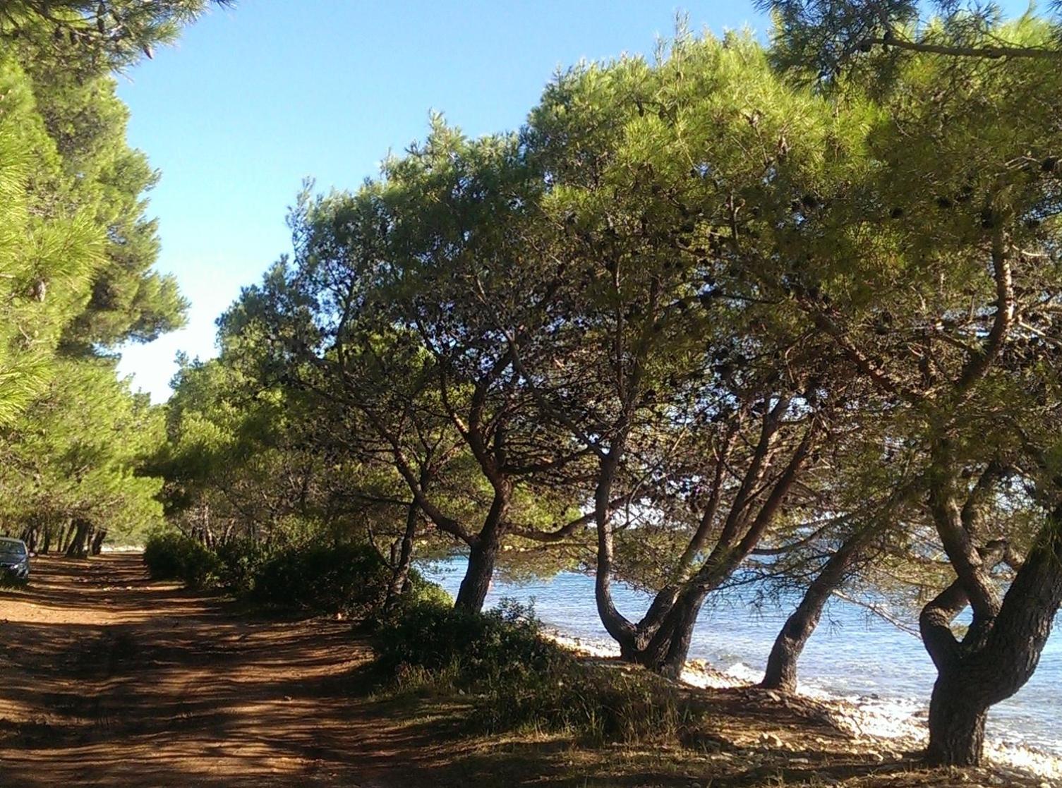 Photo 44