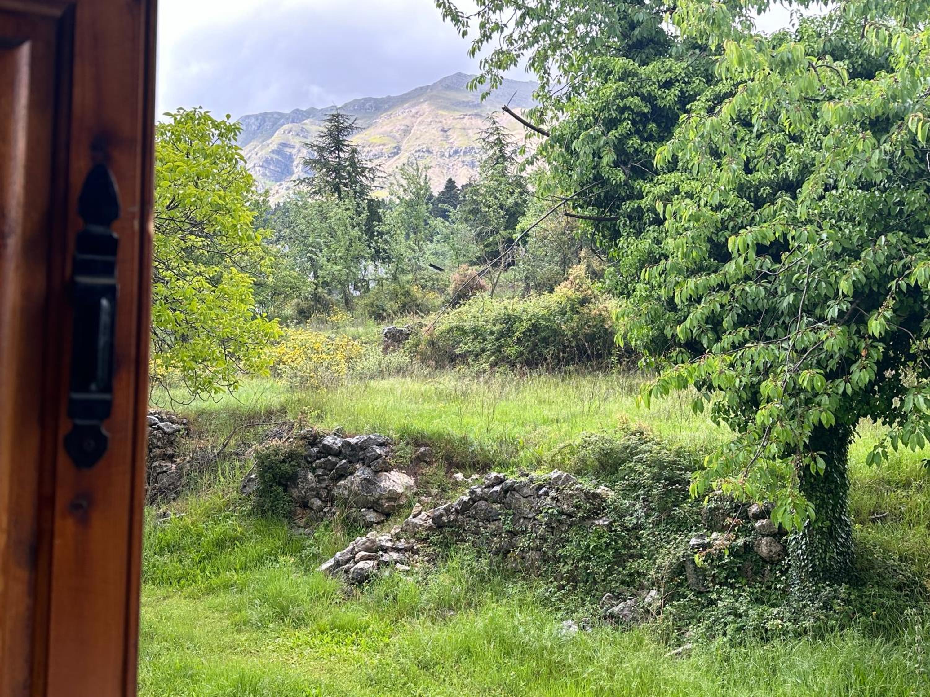 Forest cottage top of the world view 4