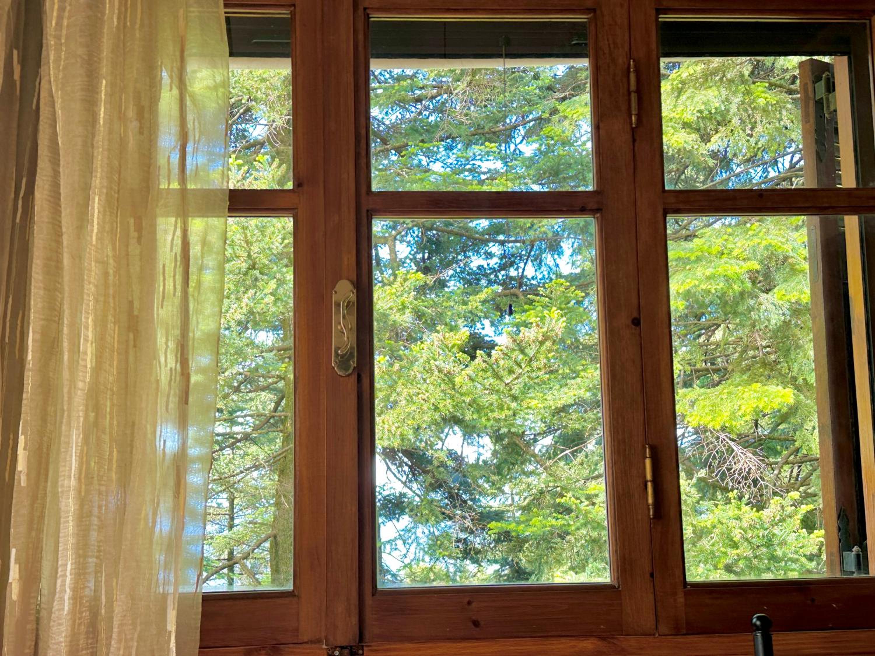 Forest cottage top of the world view 3