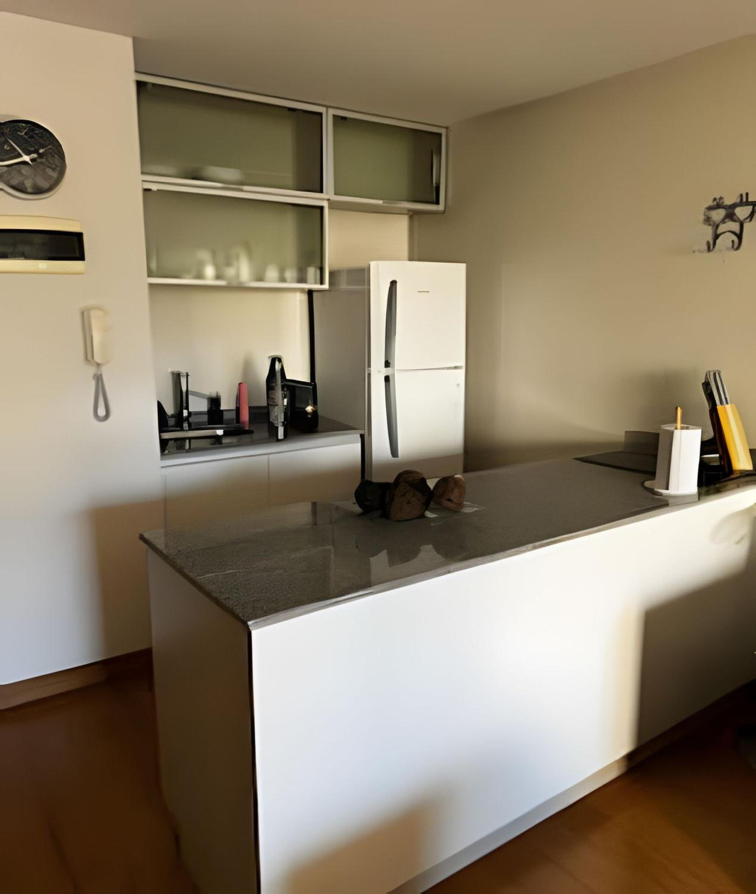 Luxury Apartment in Recoleta