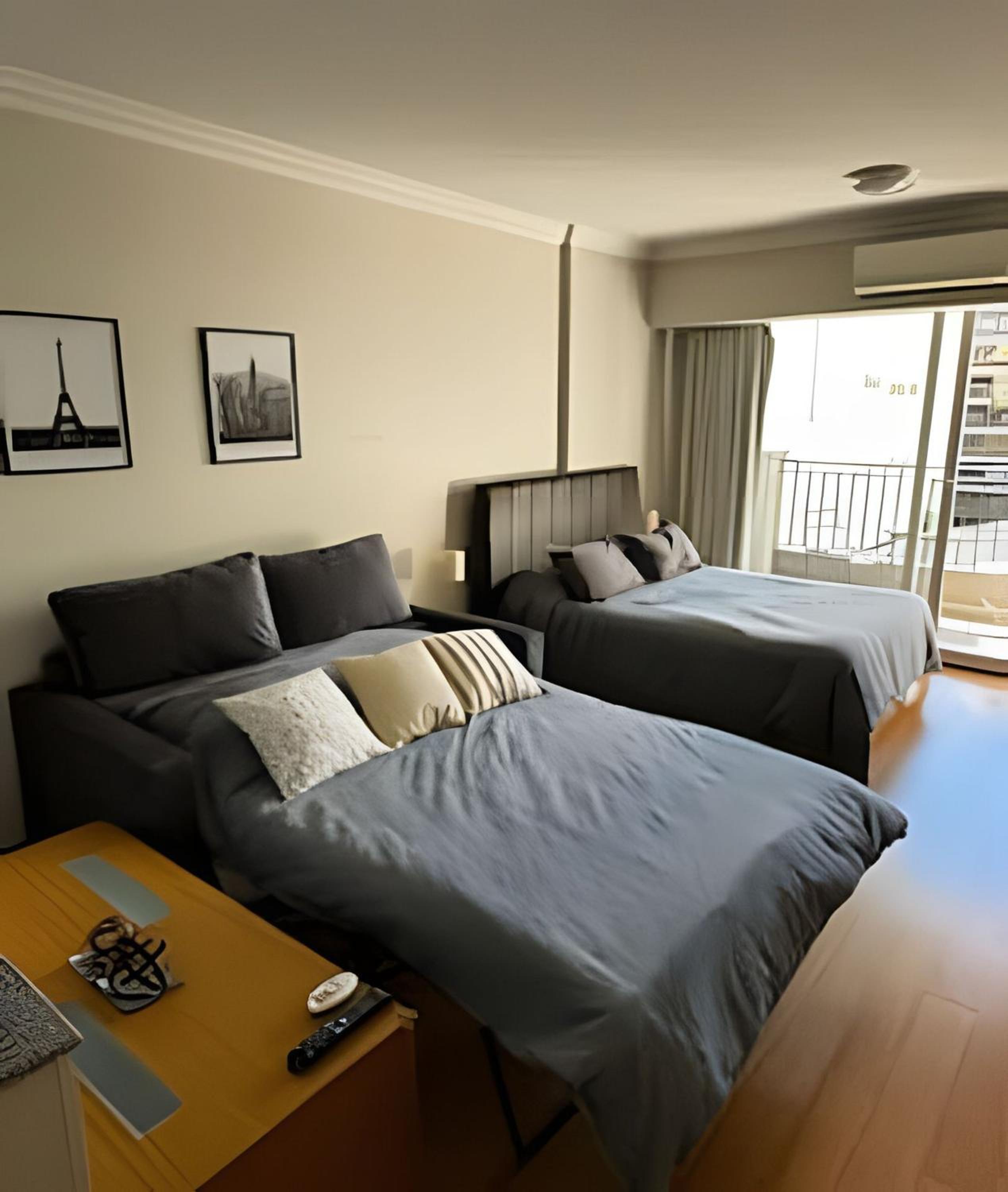 Luxury Apartment in Recoleta