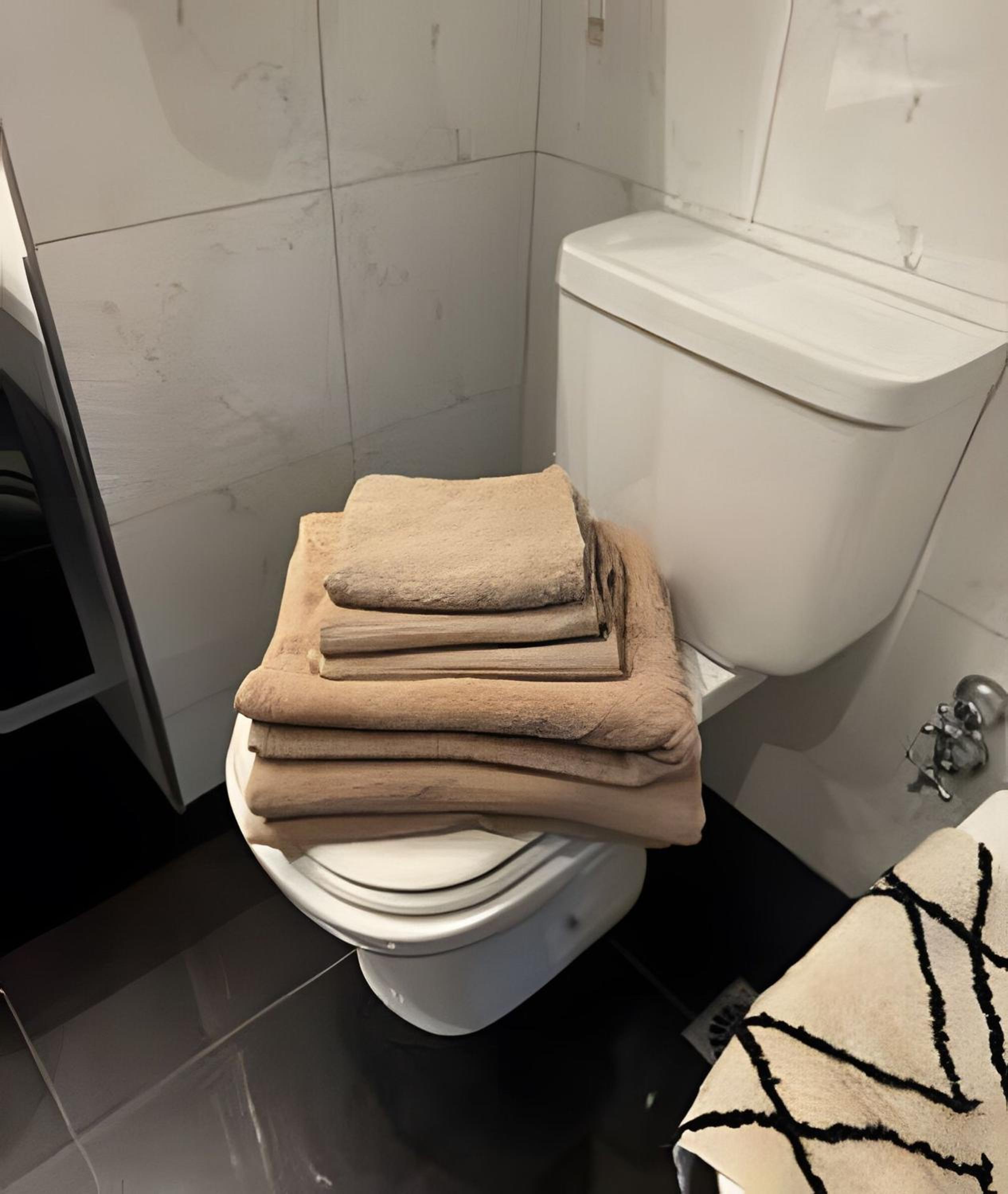 Luxury Apartment in Recoleta